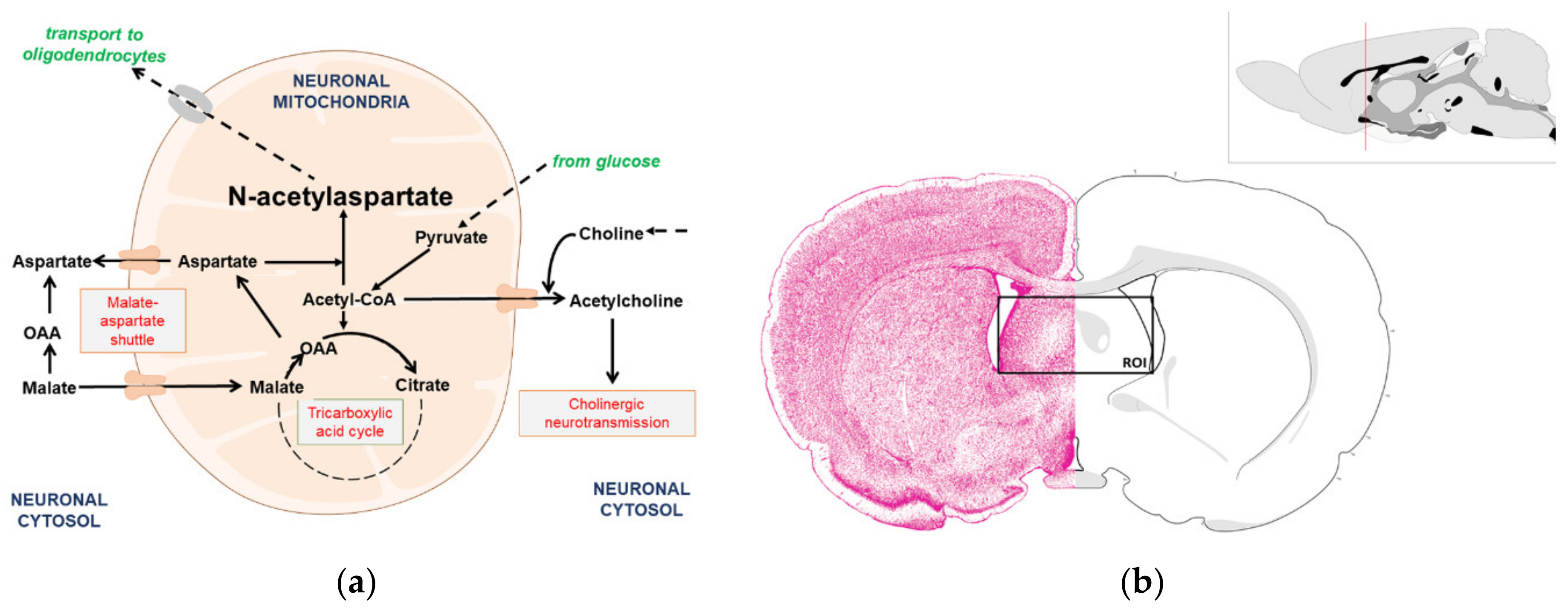 Antioxidants 09 00522 g001