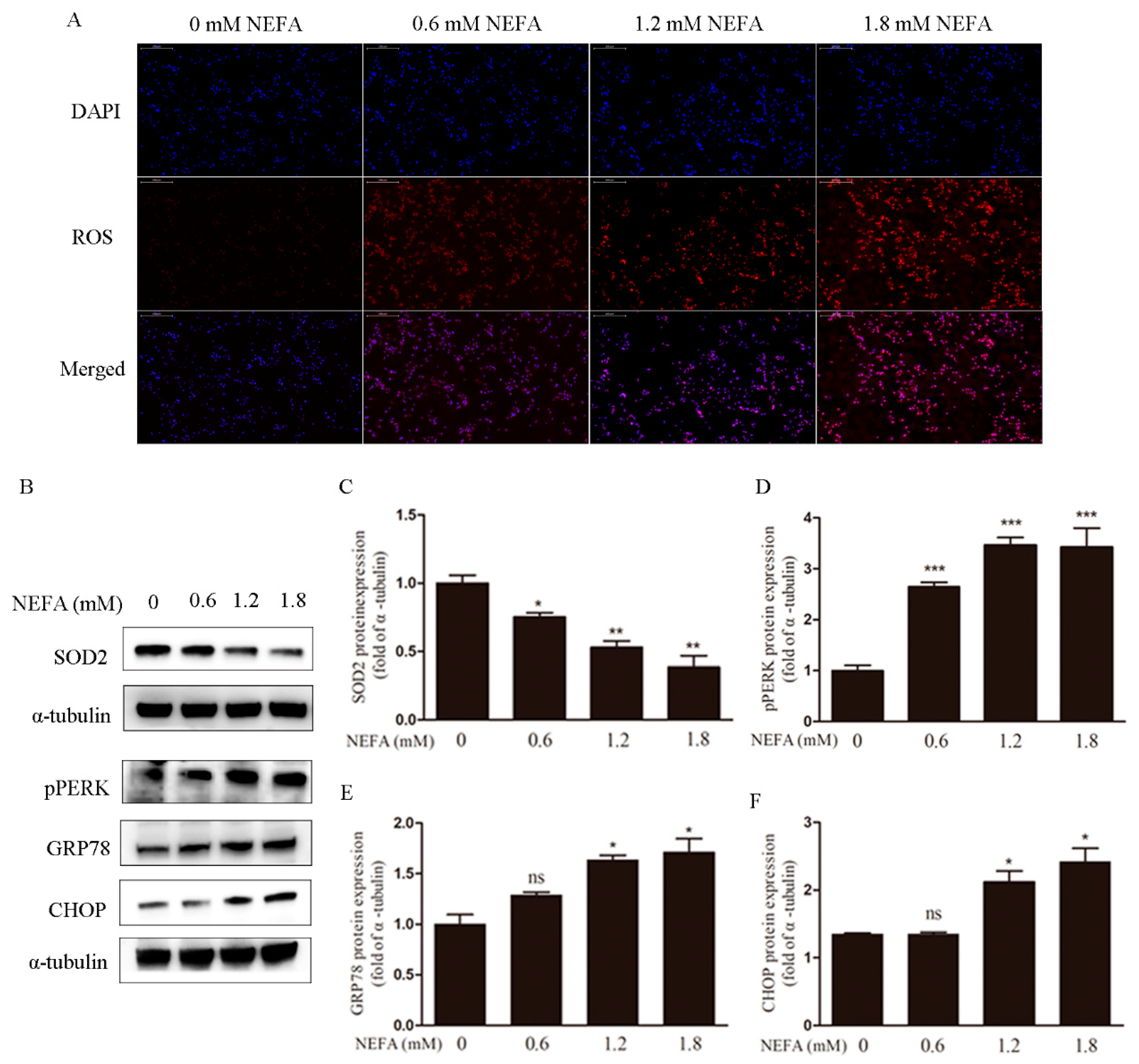 Antioxidants 09 00523 g001