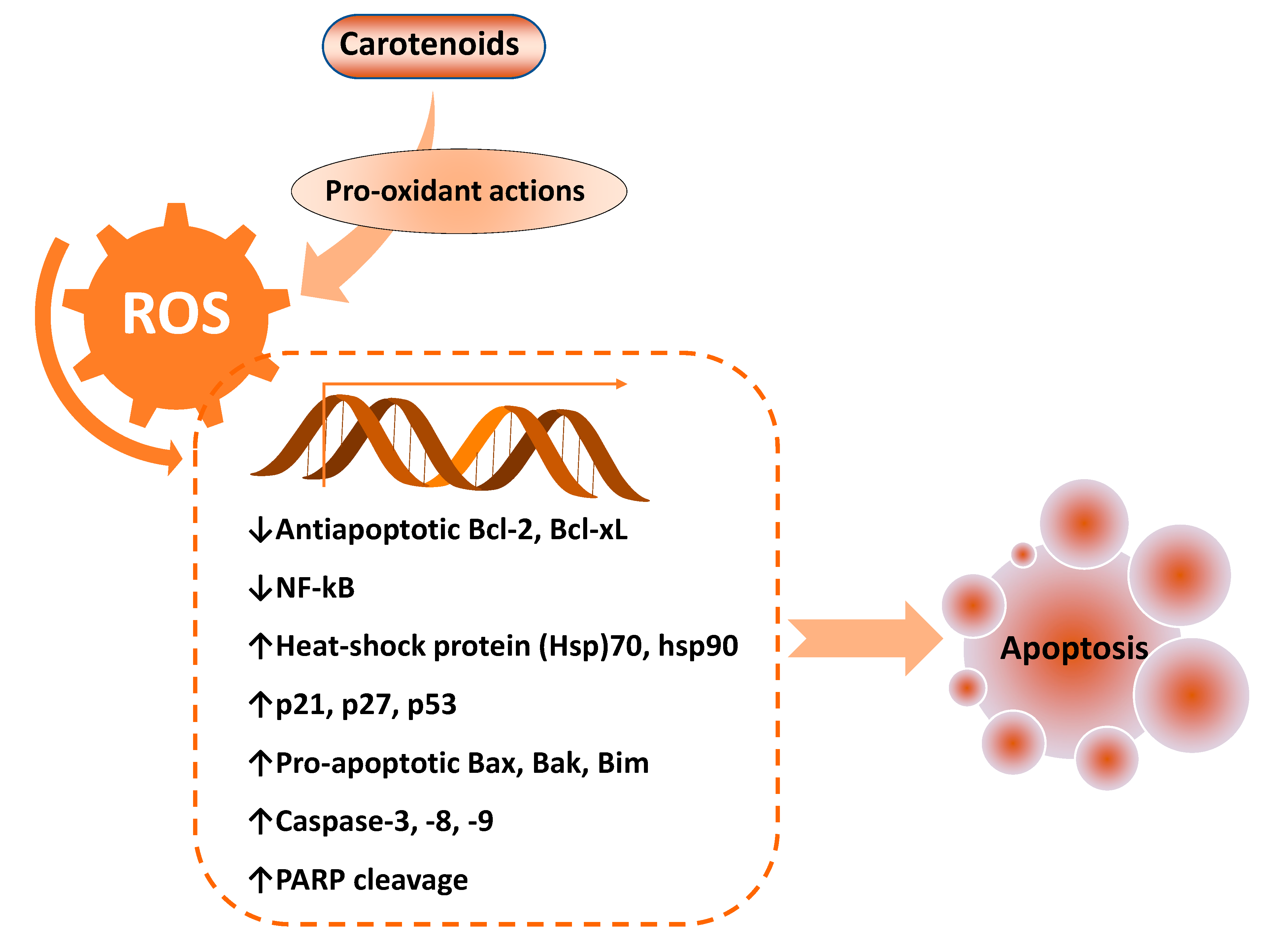 Antioxidants 09 00532 g003