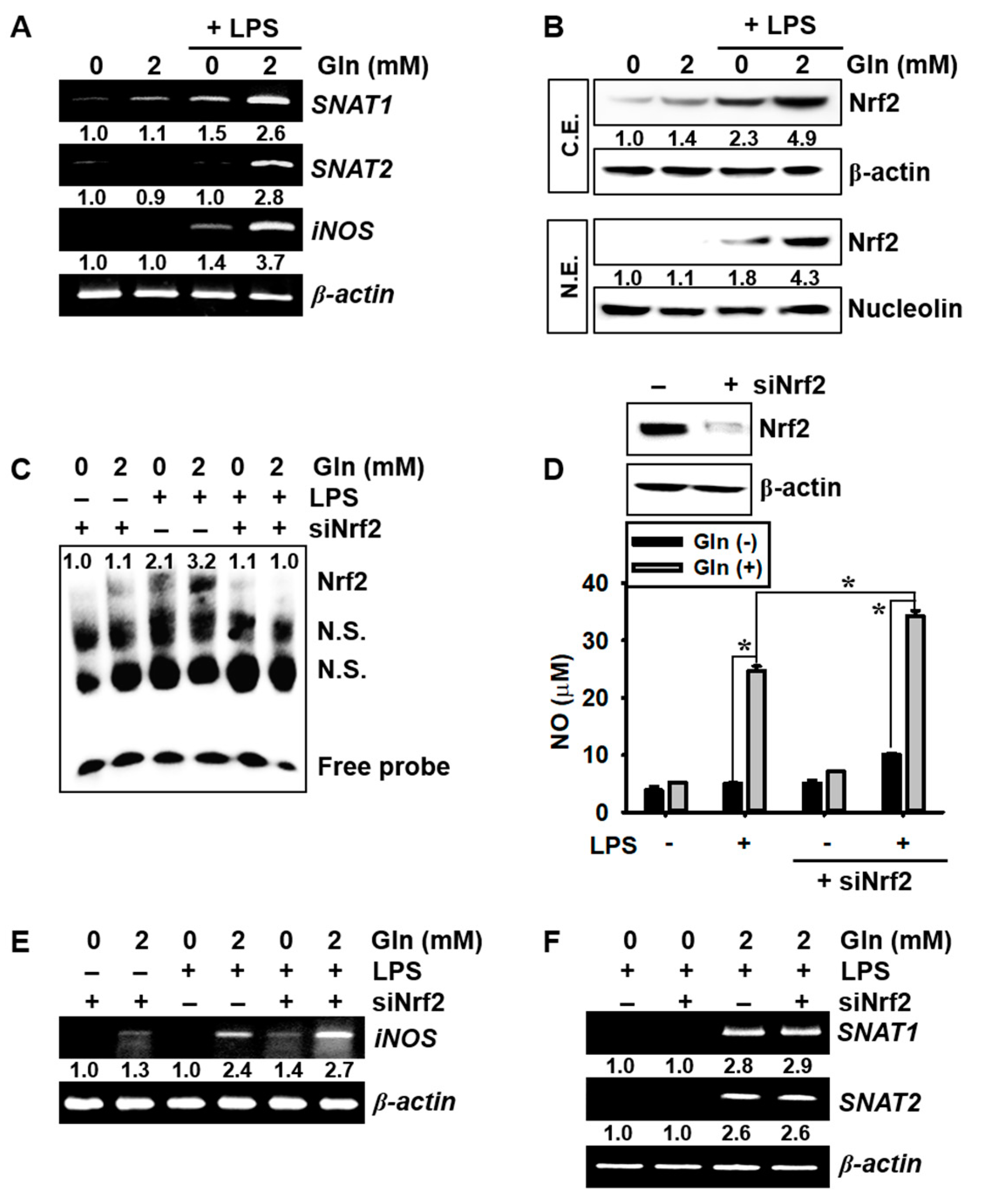 Antioxidants 09 00536 g003