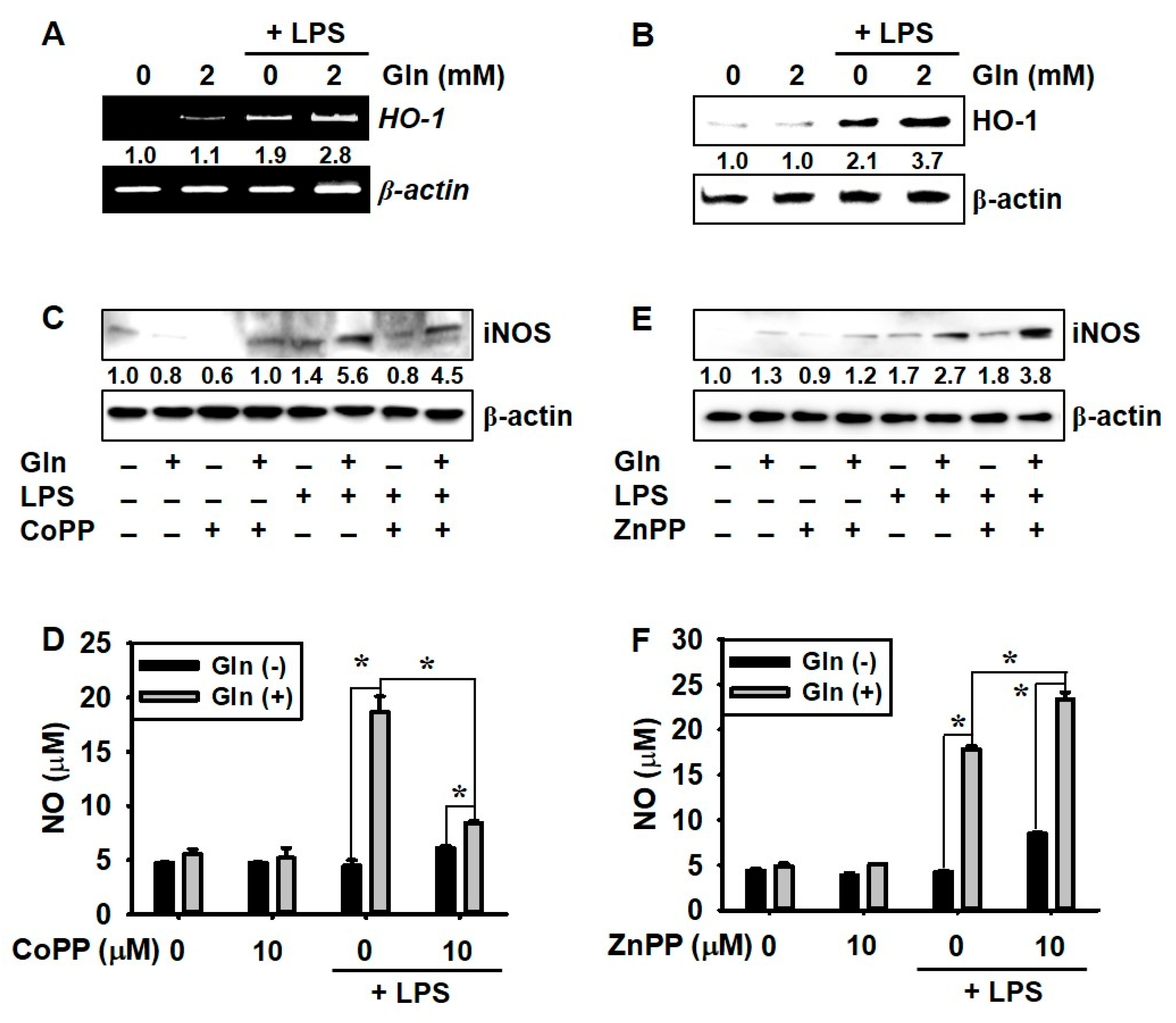 Antioxidants 09 00536 g004
