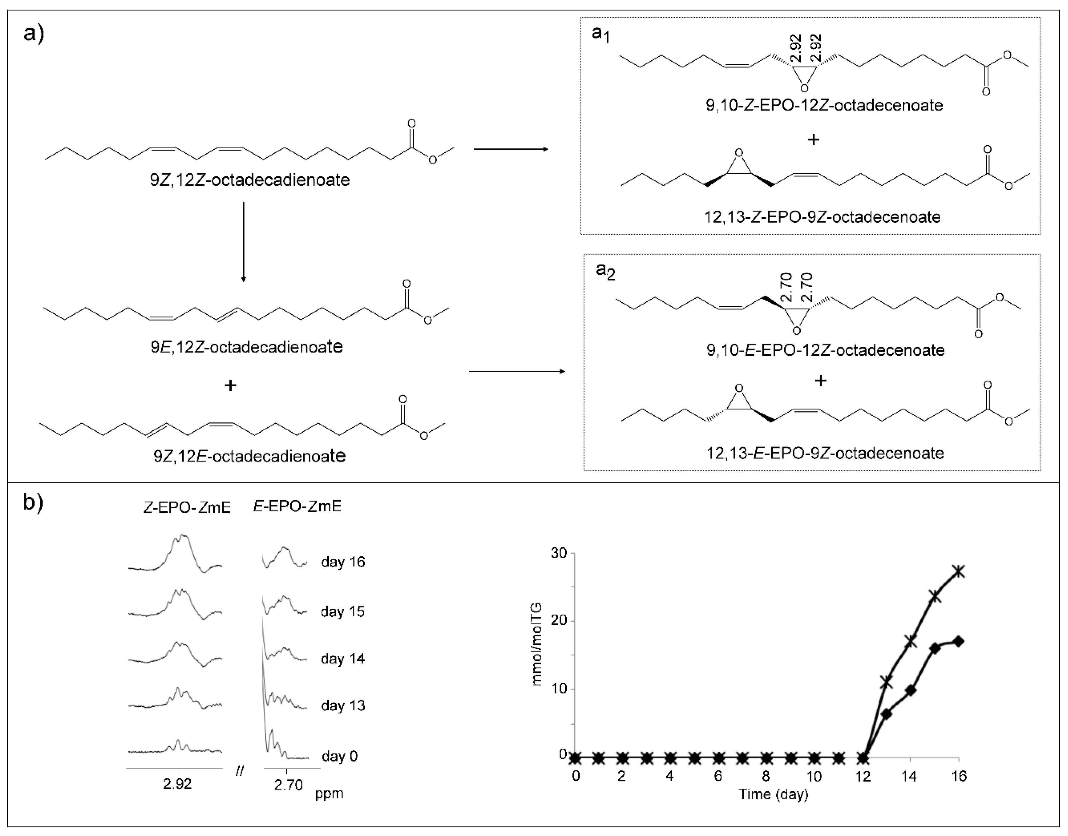 Antioxidants 09 00544 g011 Antioxidants 09 00544 g011
