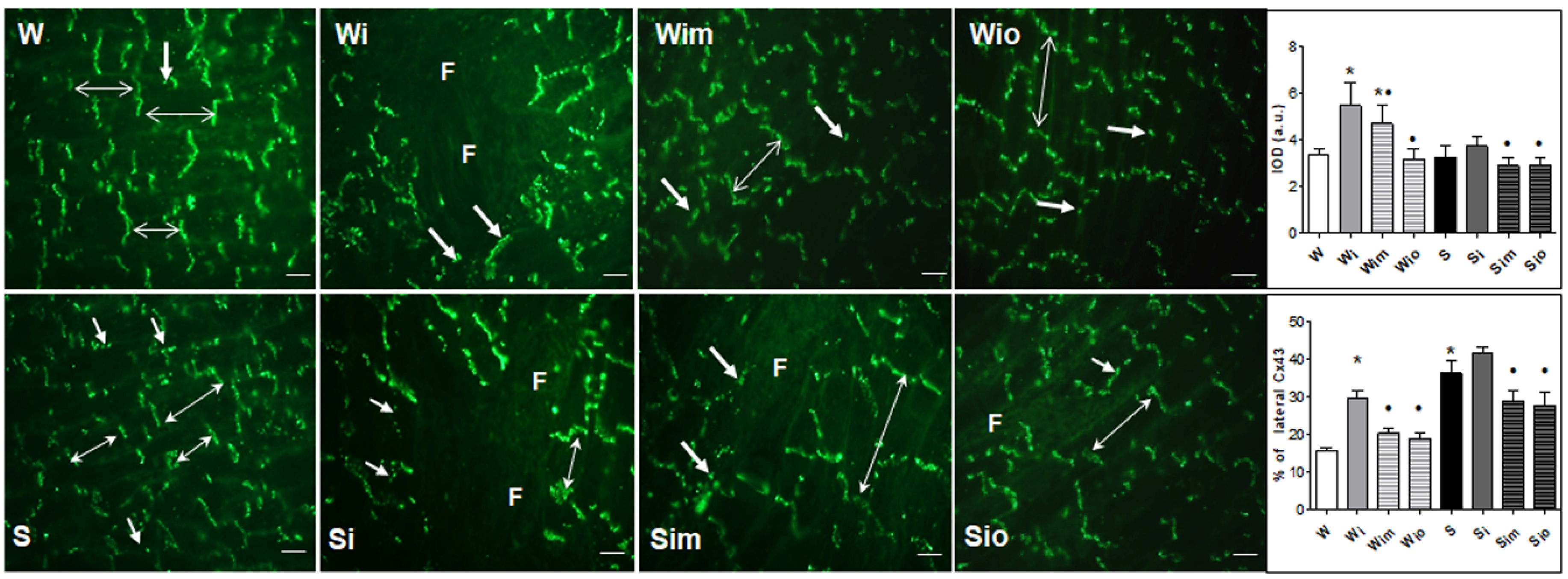 Antioxidants 09 00546 g005