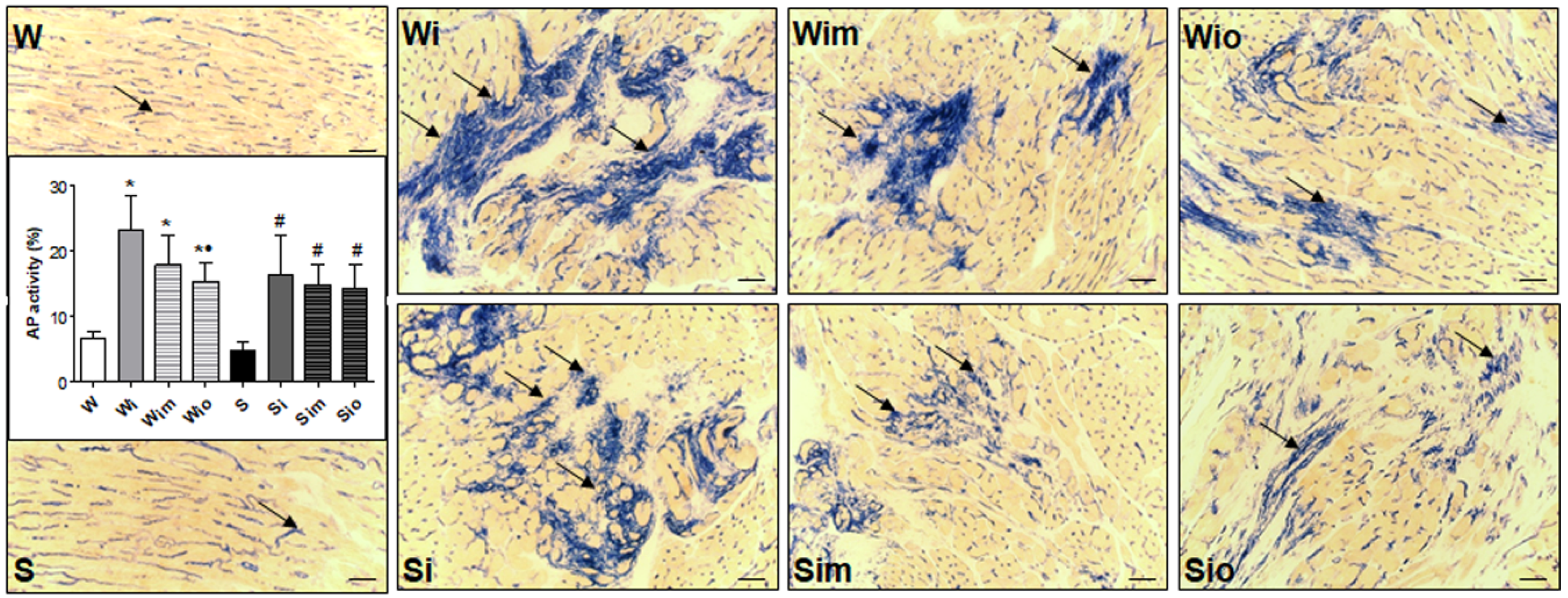 Antioxidants 09 00546 g008