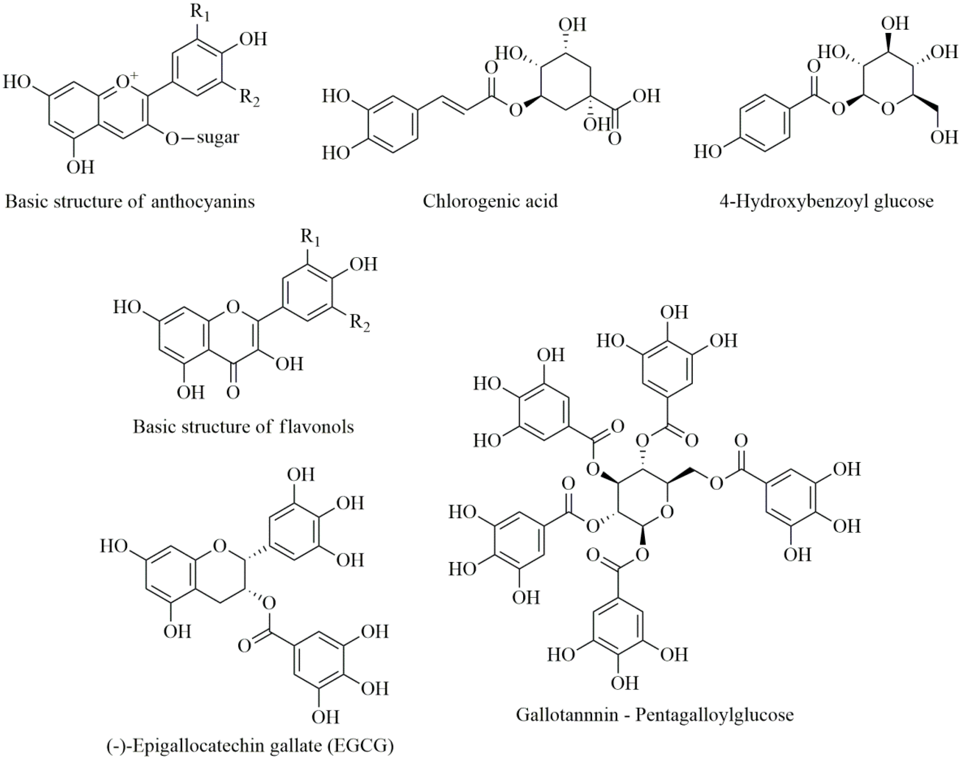 Antioxidants 09 00547 g001