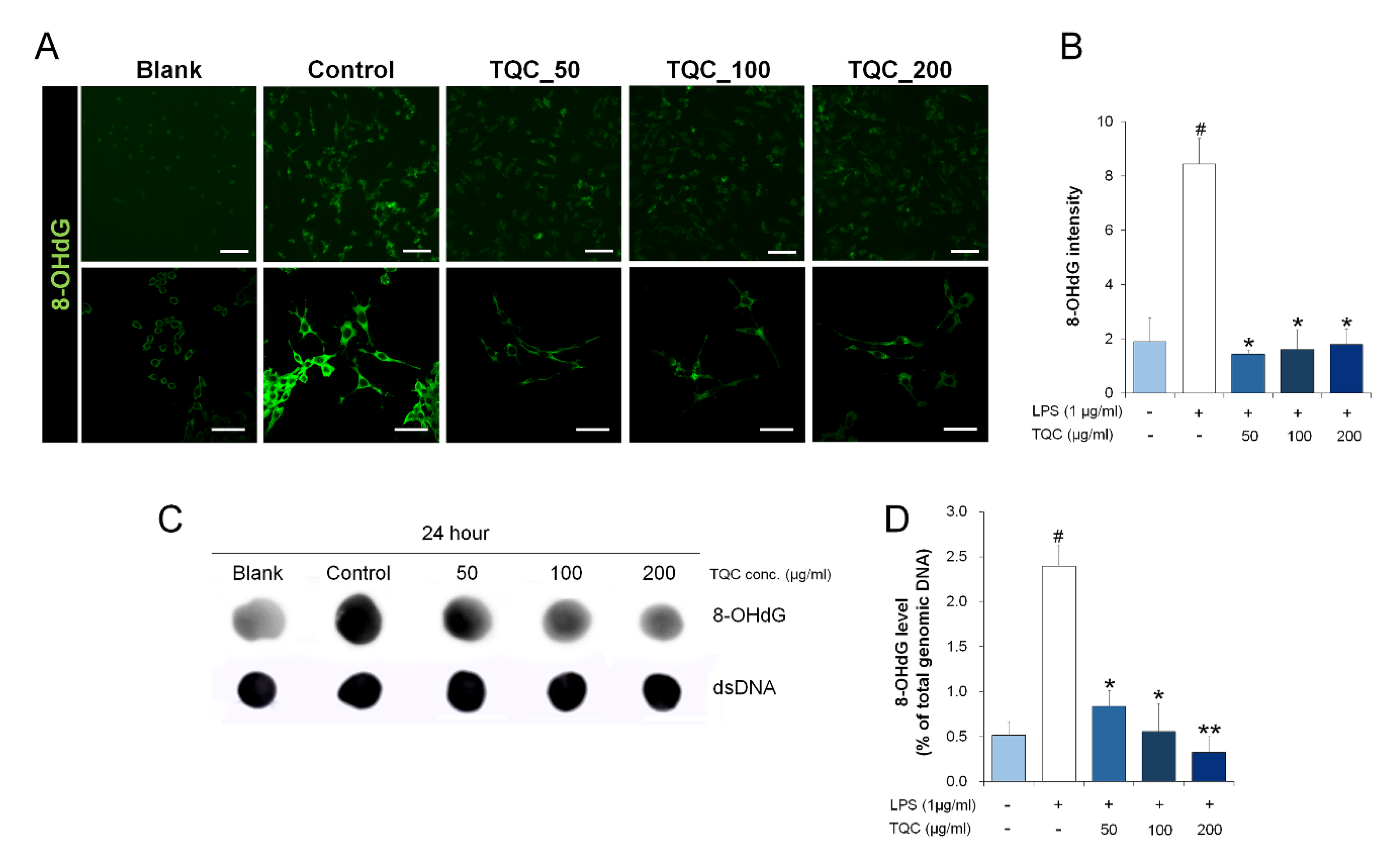 Antioxidants 09 00548 g002