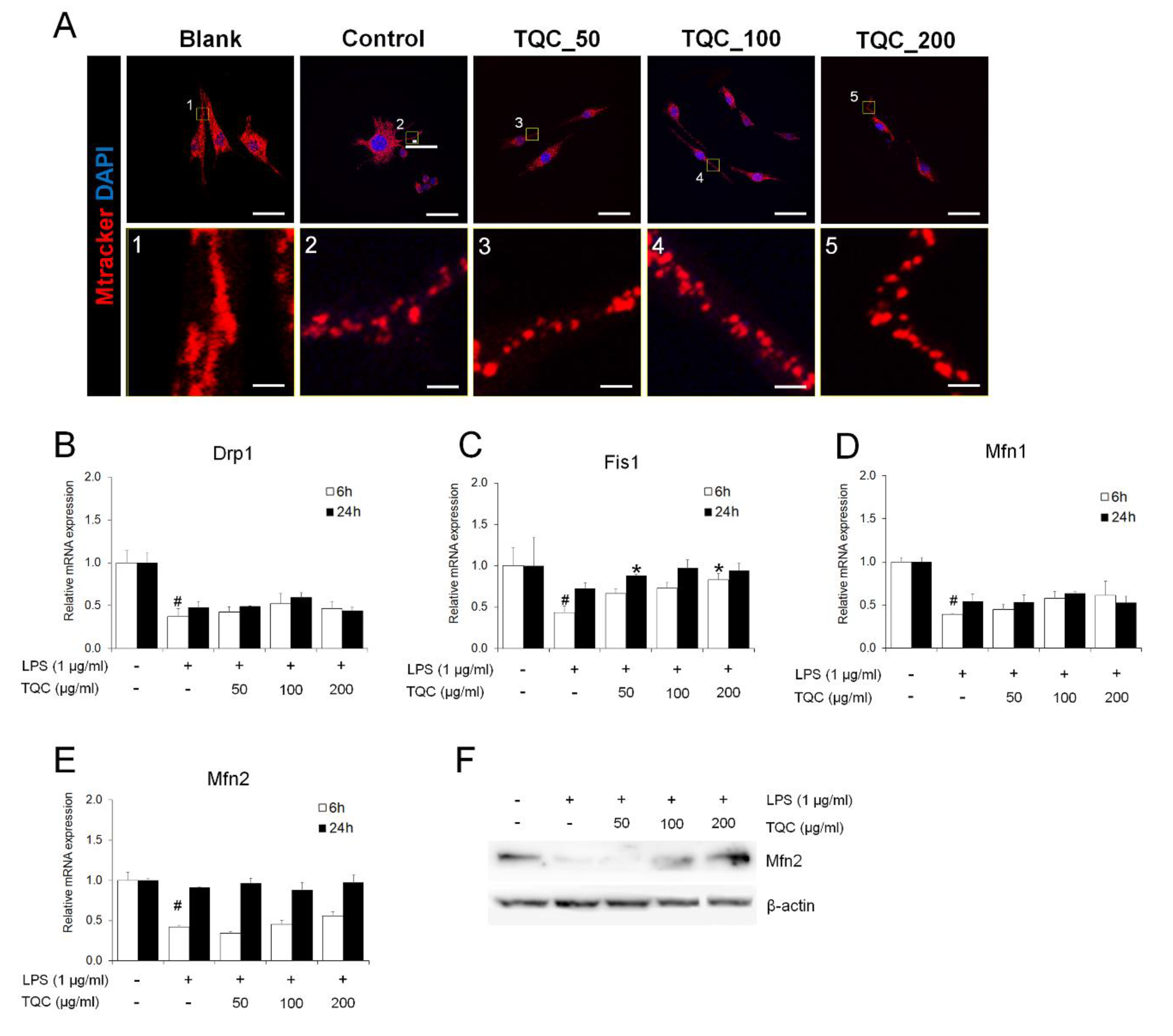 Antioxidants 09 00548 g003