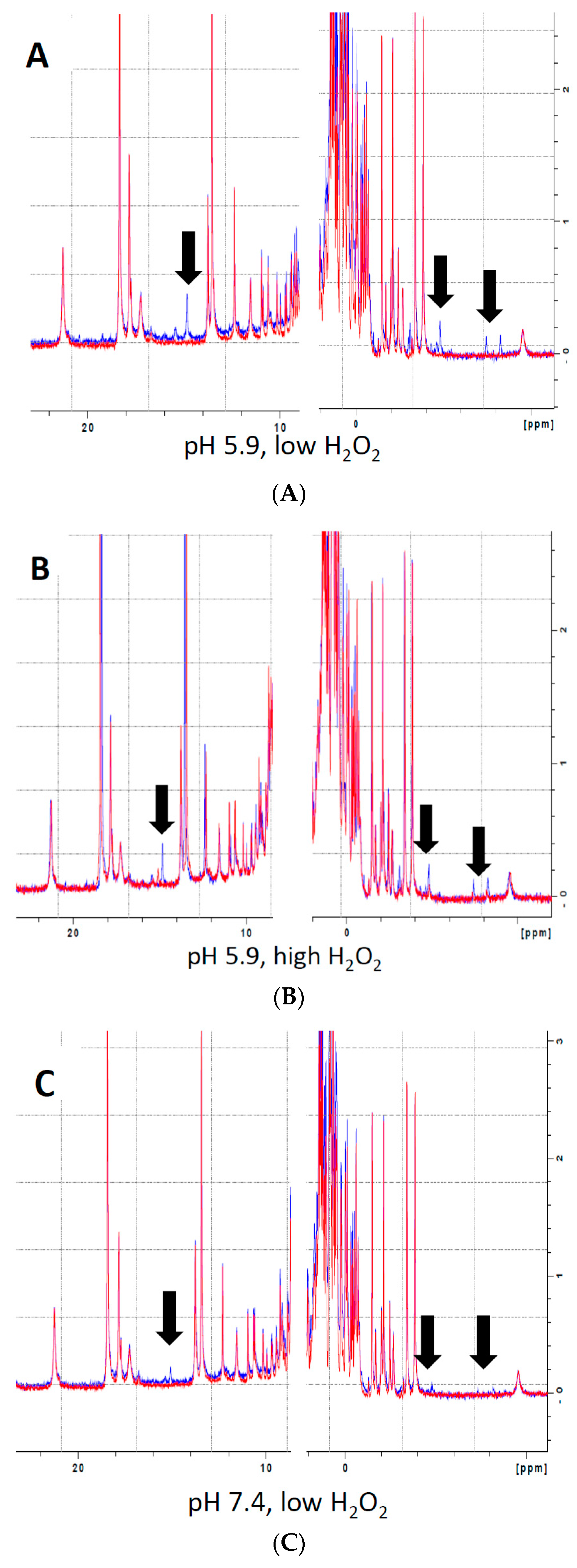 Antioxidants 09 00549 g002