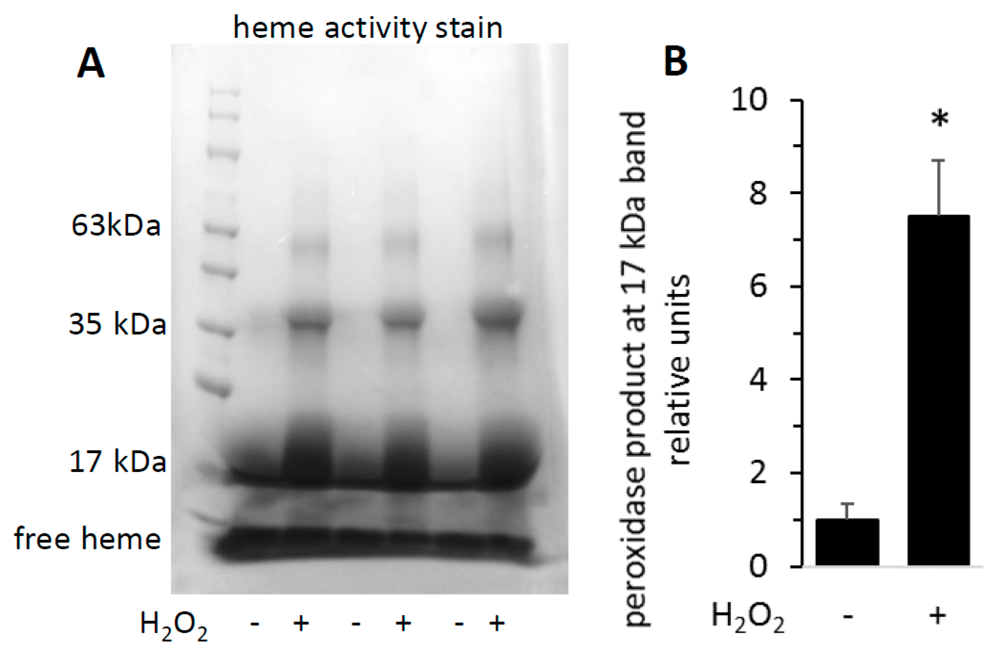 Antioxidants 09 00549 g003
