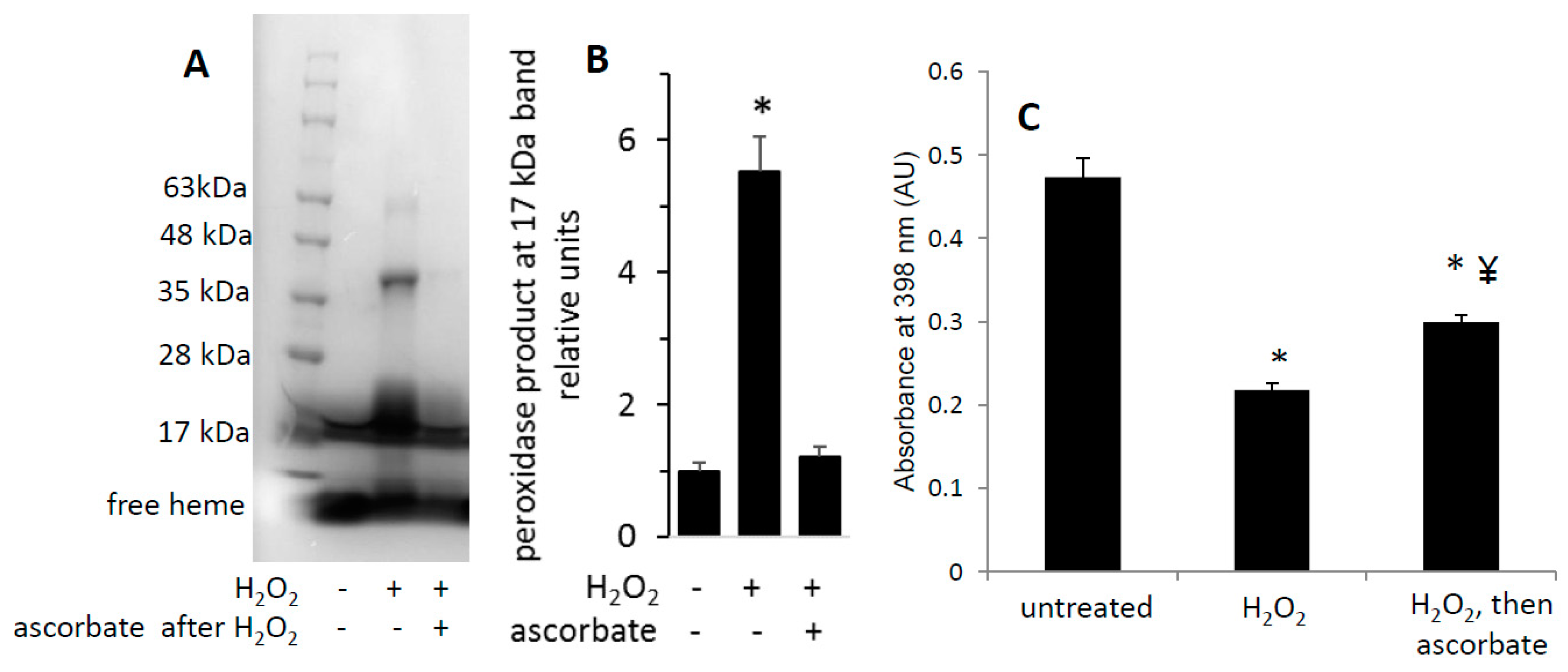 Antioxidants 09 00549 g005