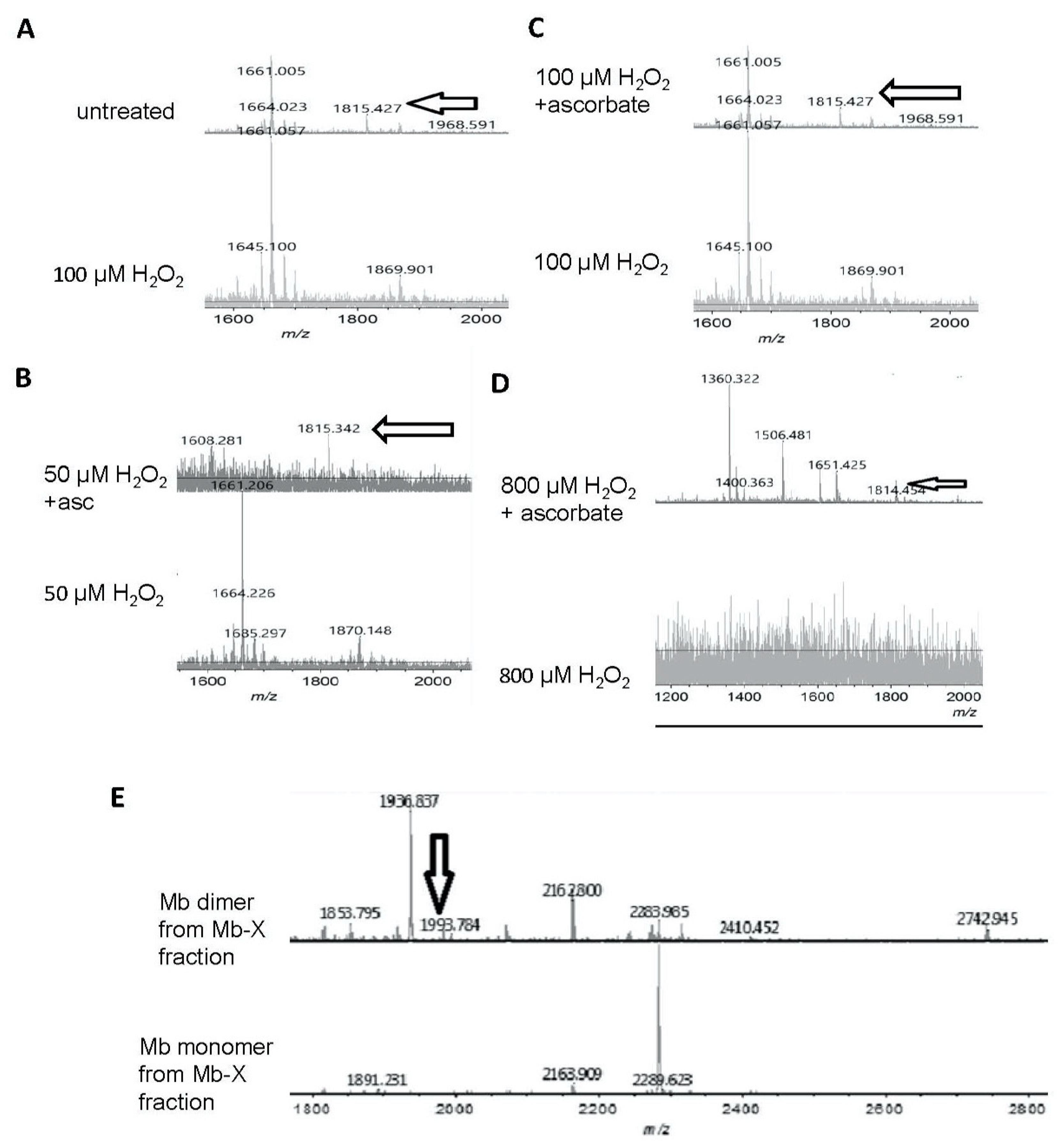 Antioxidants 09 00549 g006