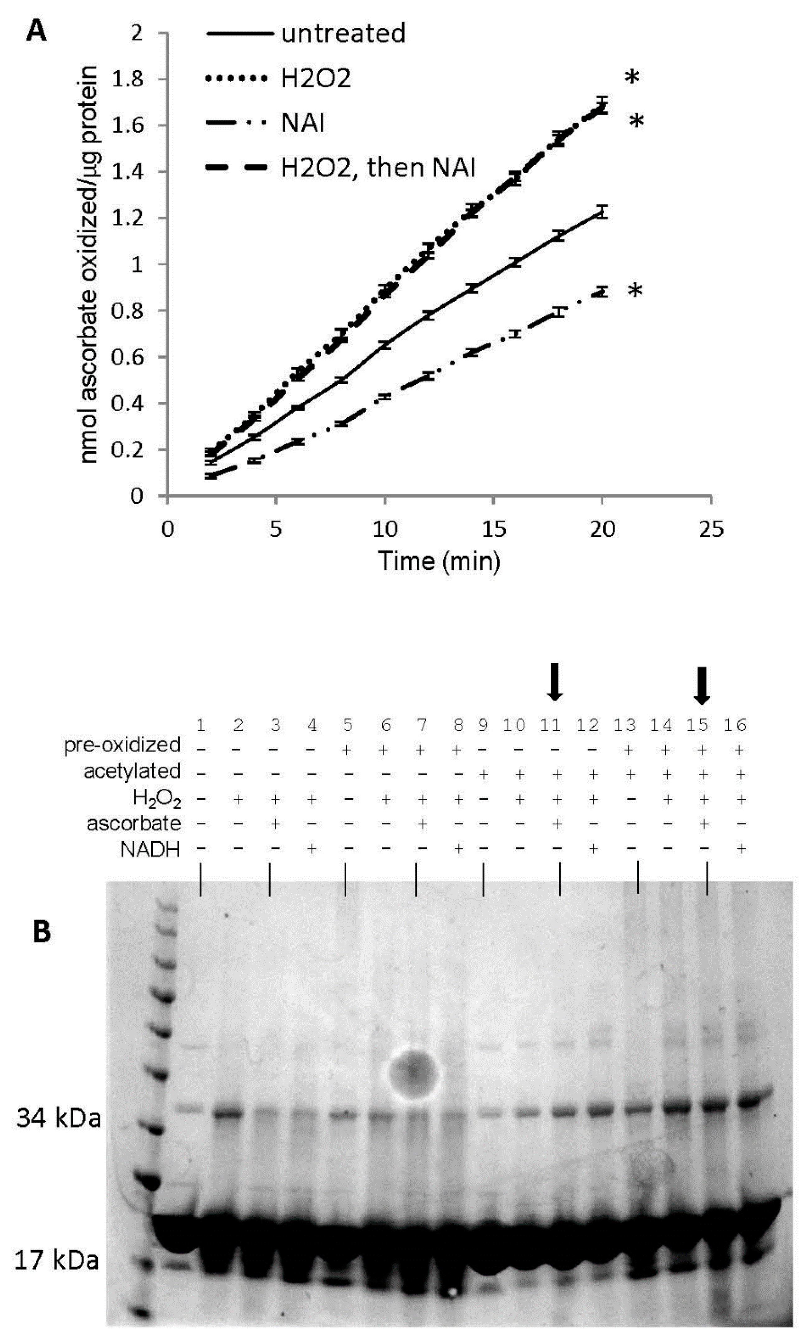 Antioxidants 09 00549 g010