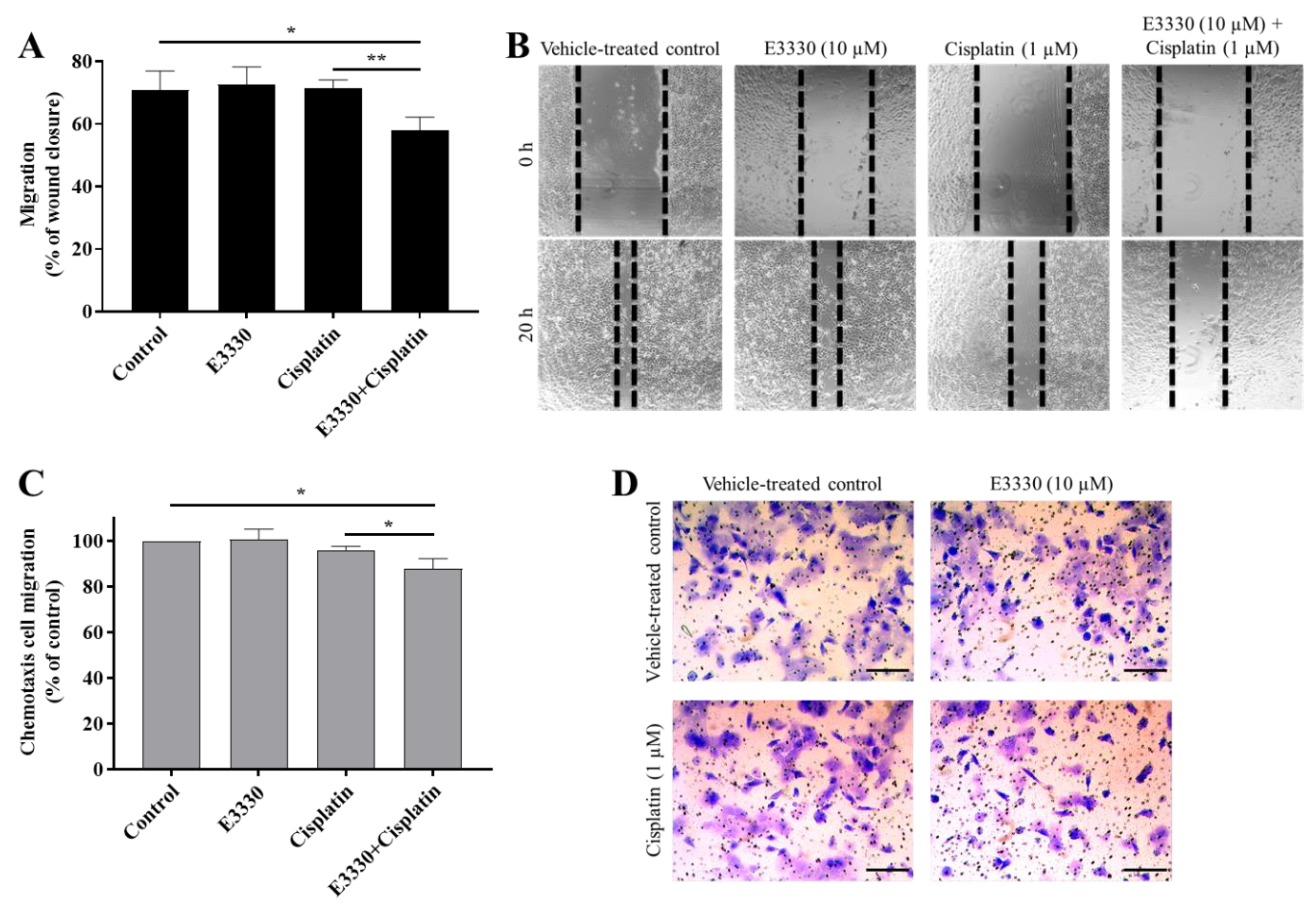 Antioxidants 09 00550 g007