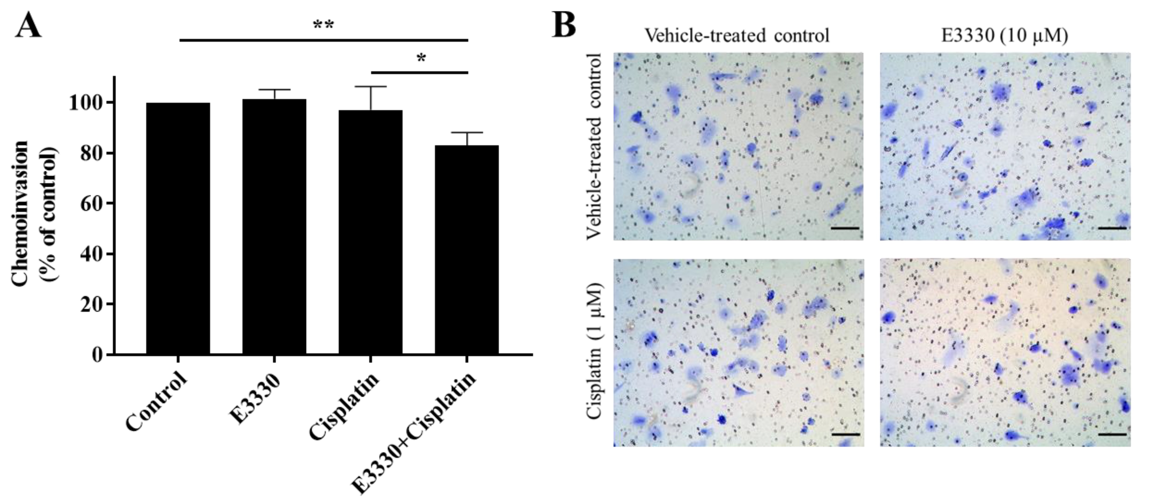 Antioxidants 09 00550 g008