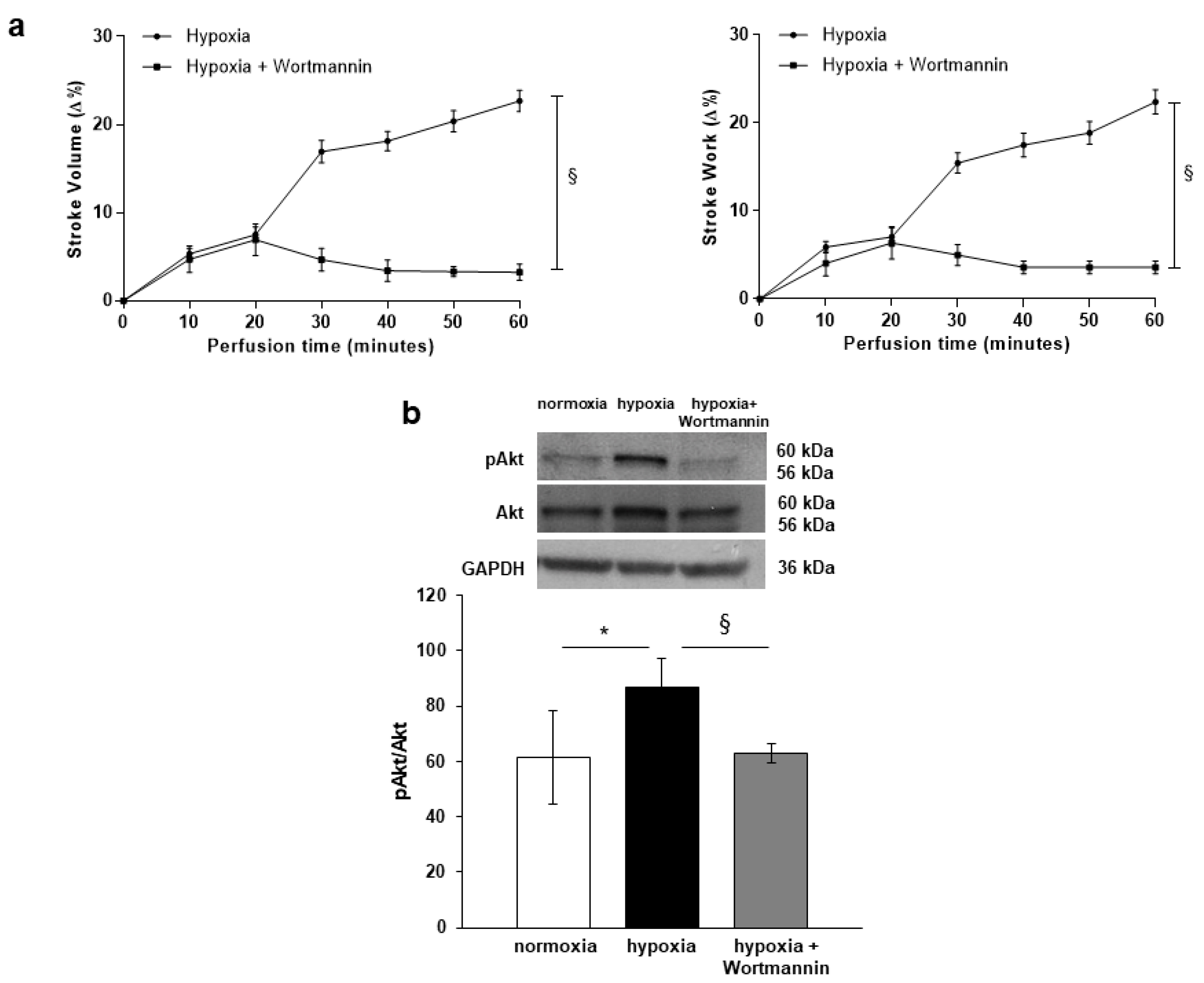 Antioxidants 09 00555 g002