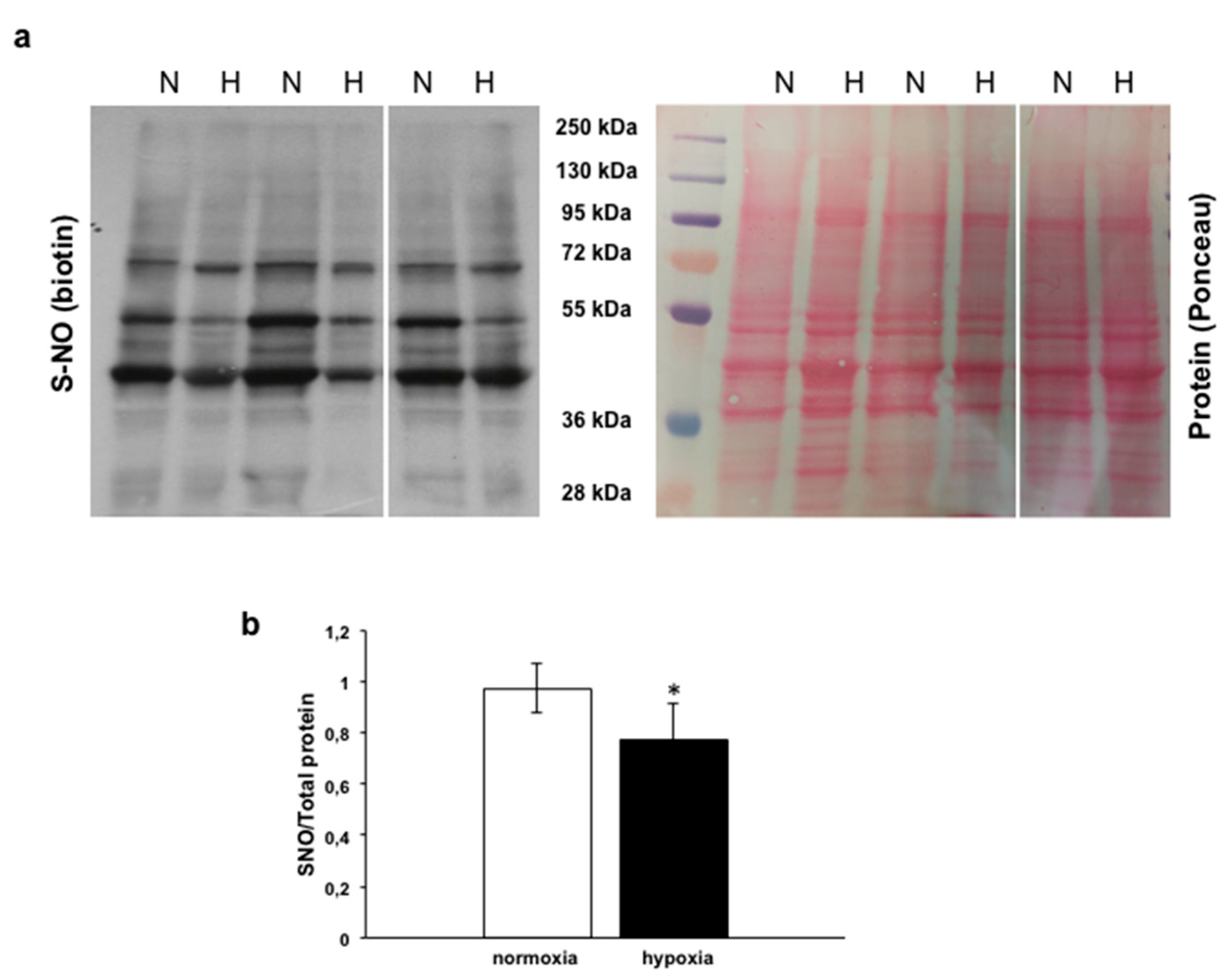 Antioxidants 09 00555 g004