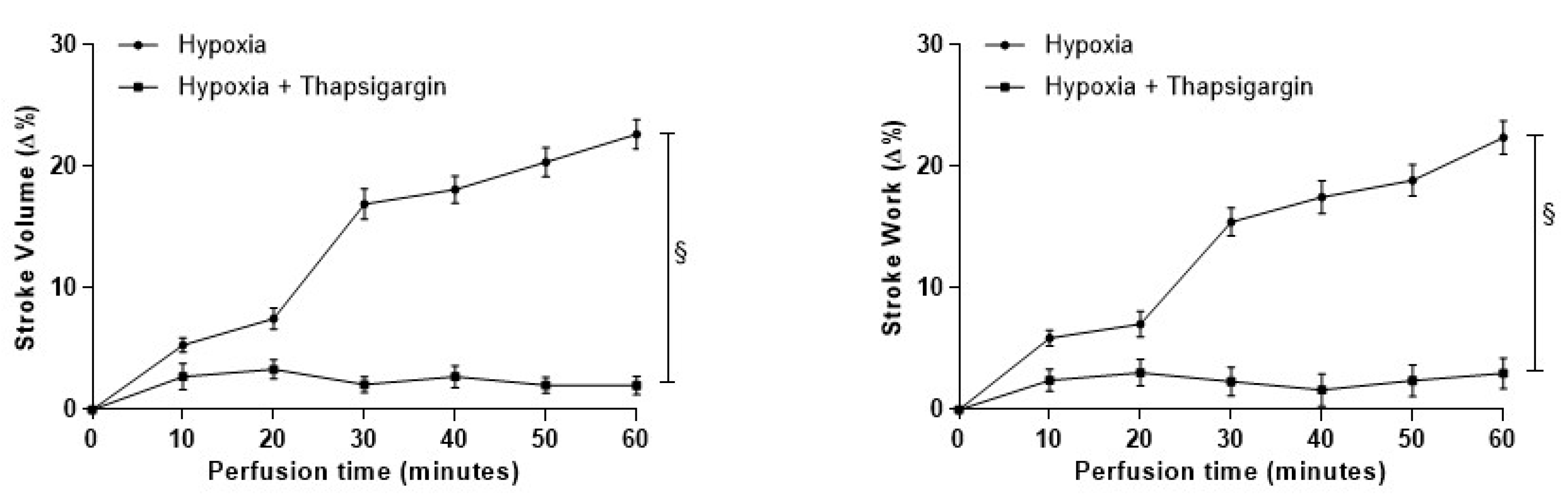 Antioxidants 09 00555 g005