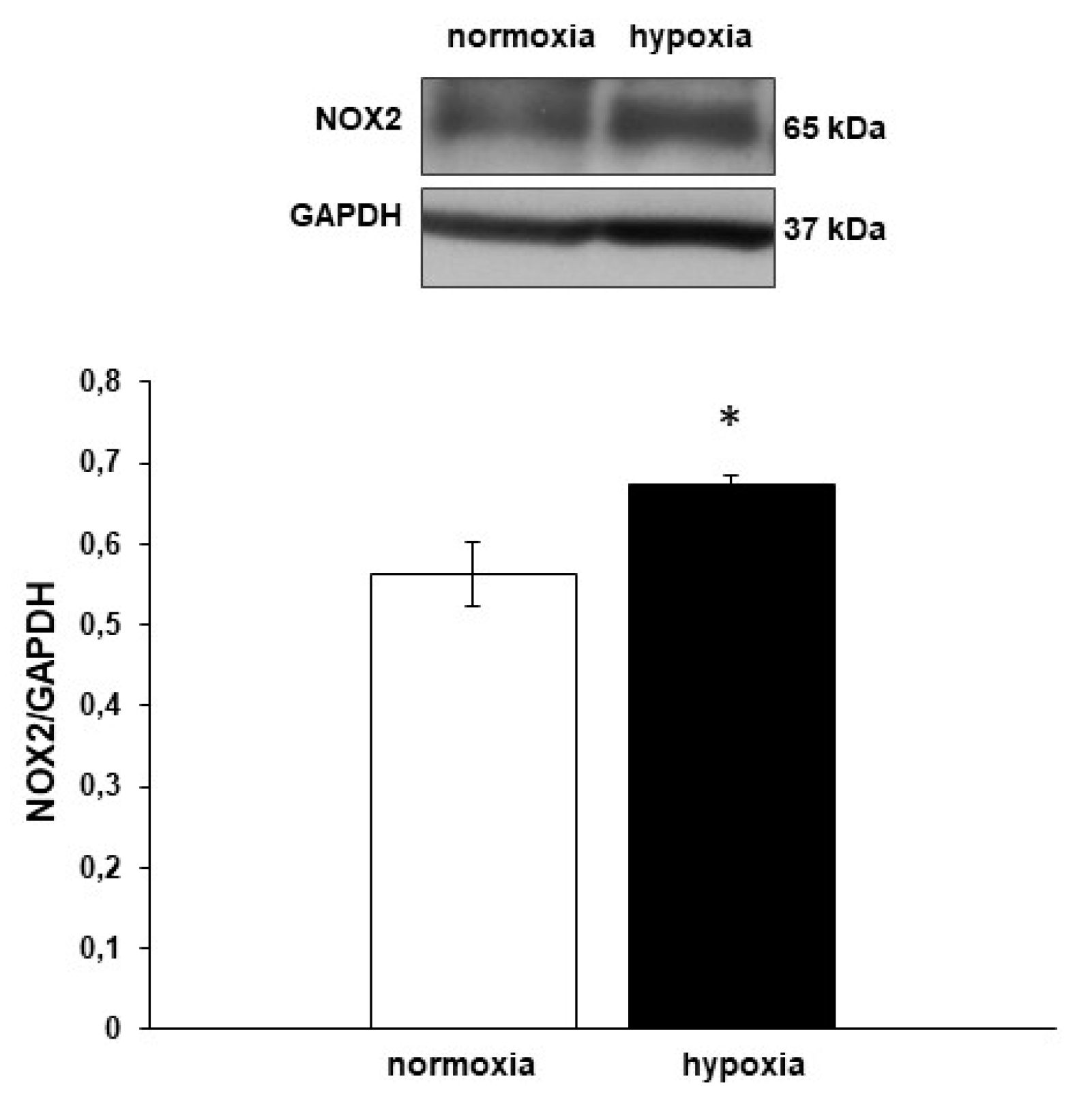 Antioxidants 09 00555 g006