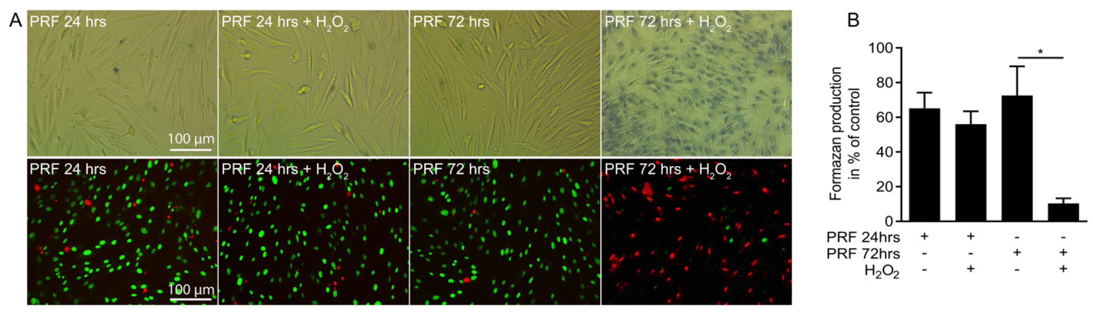 Antioxidants 09 00560 g003