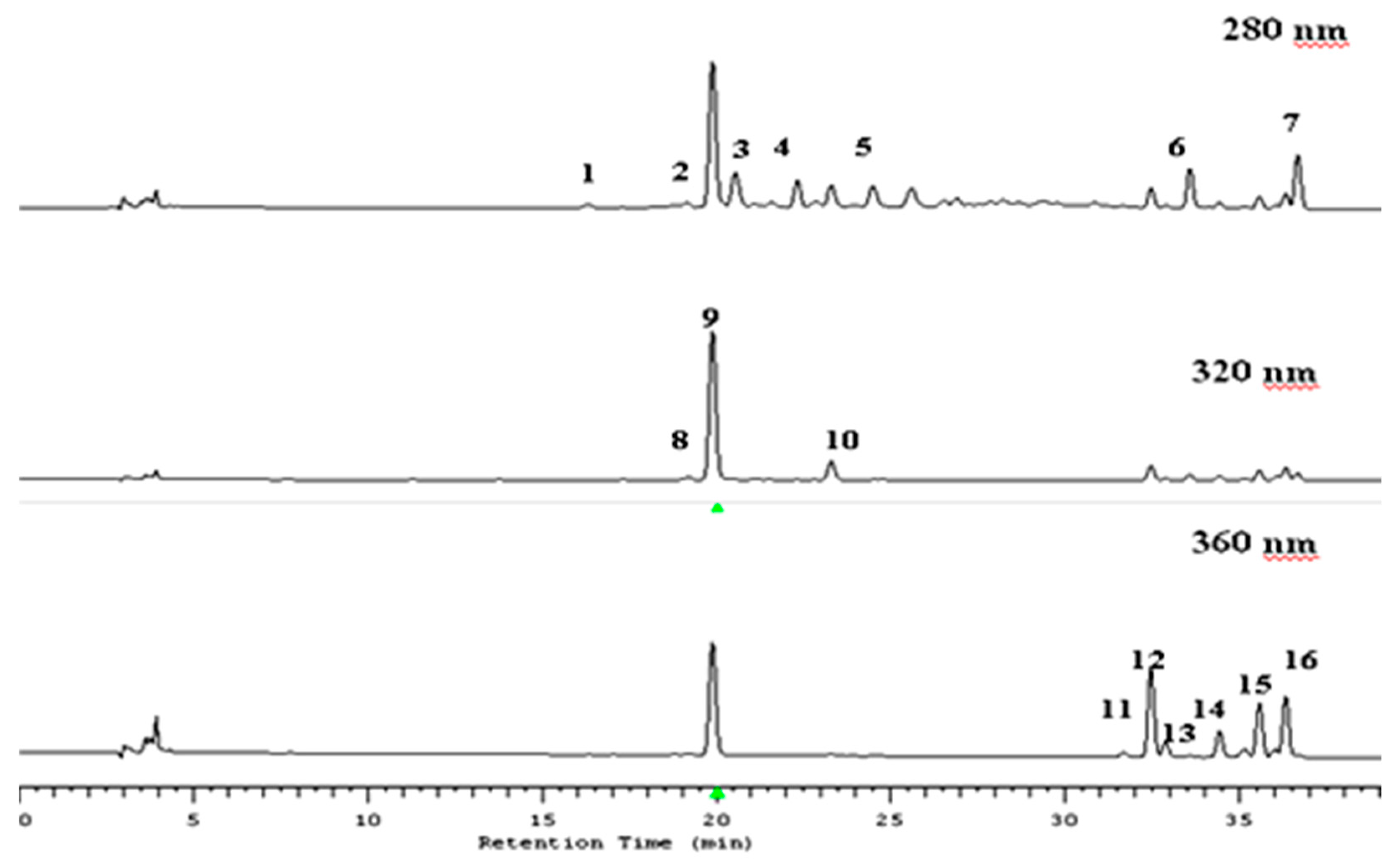 Antioxidants 09 00567 g001