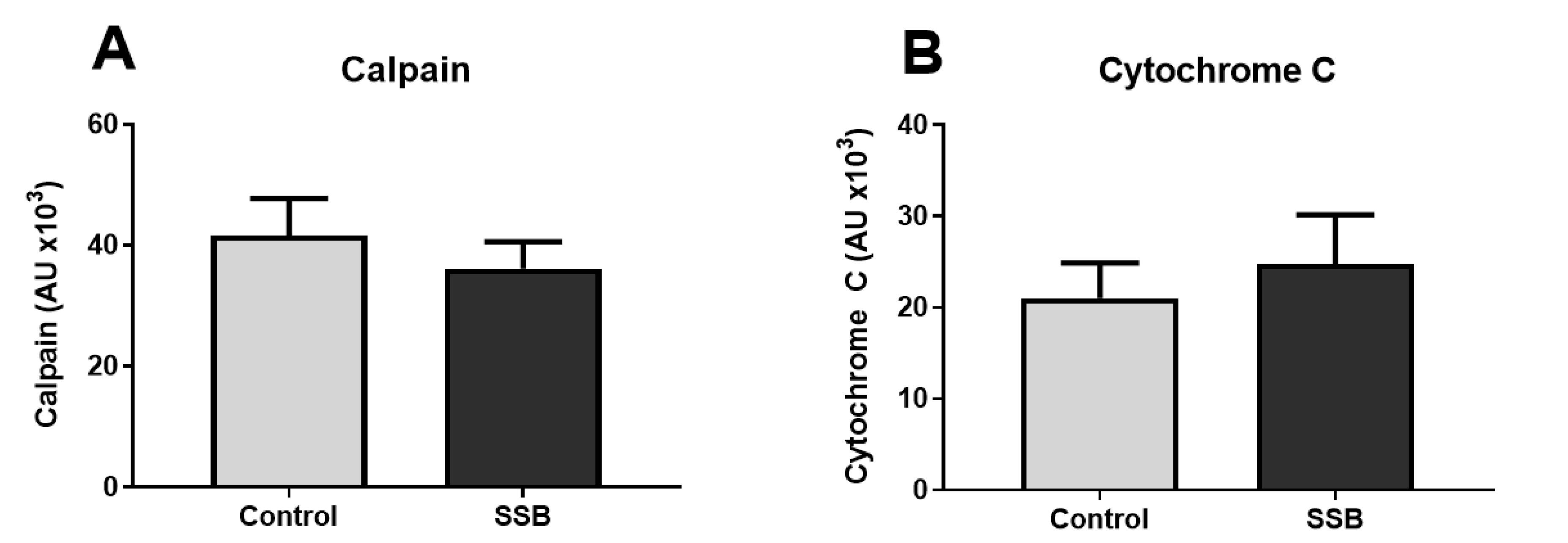Antioxidants 09 00569 g004
