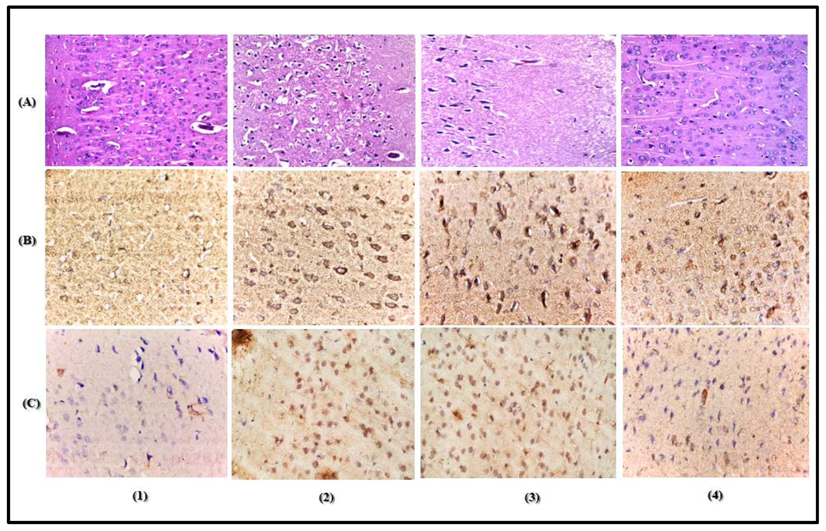 Antioxidants 09 00575 g004