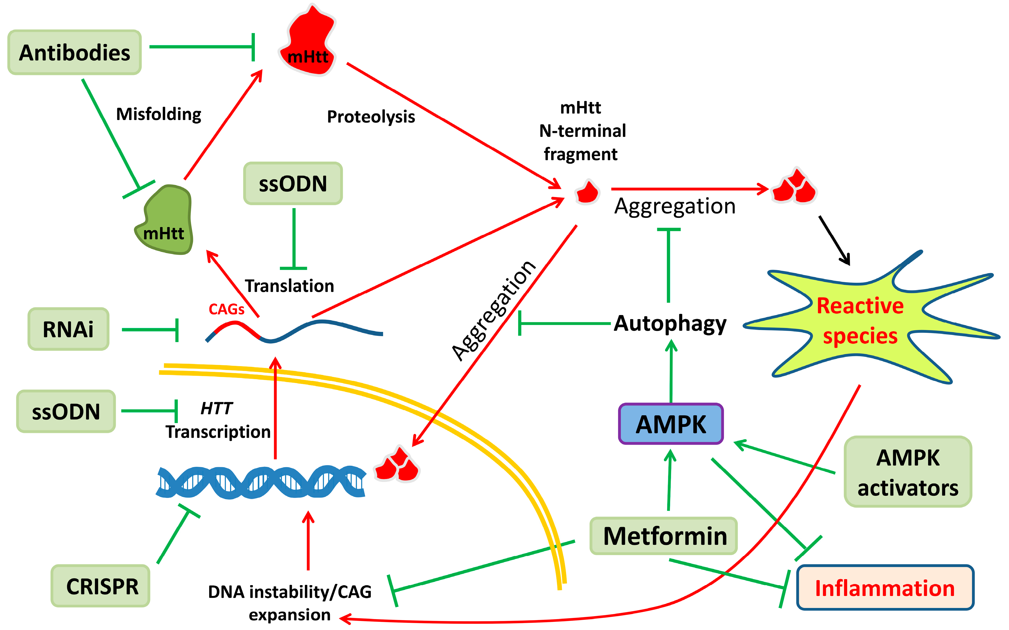Antioxidants 09 00577 g002