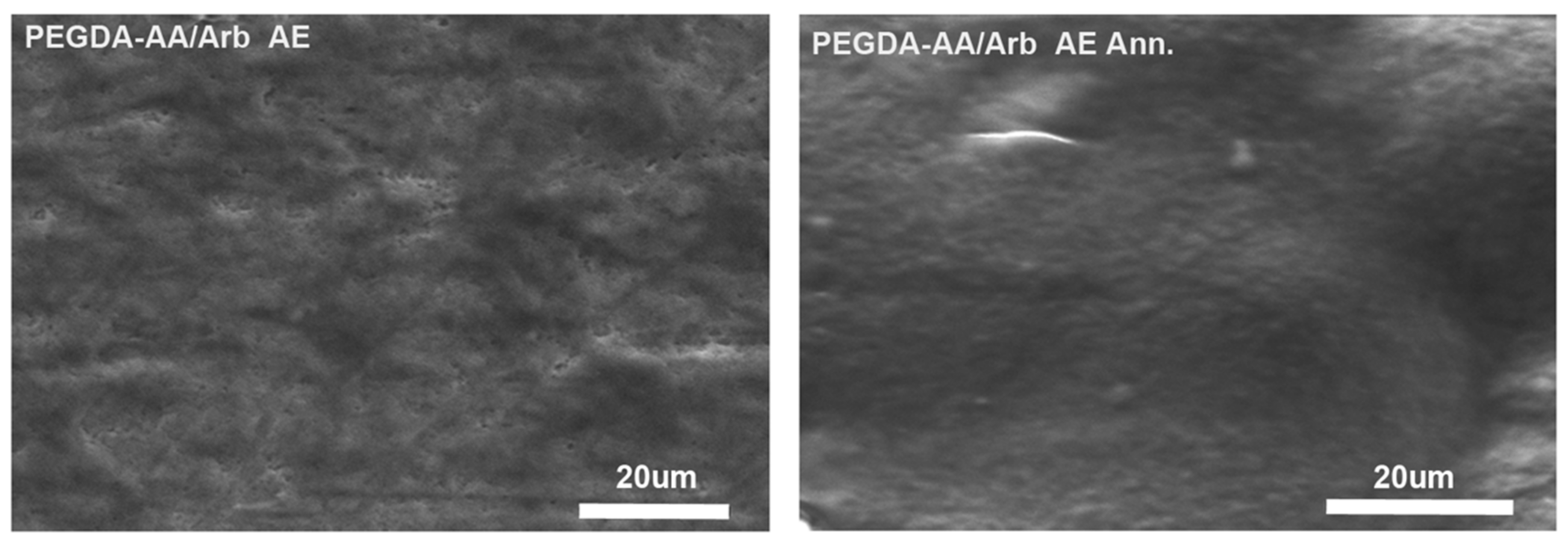 Antioxidants 09 00579 g004 Antioxidants 09 00579 g004