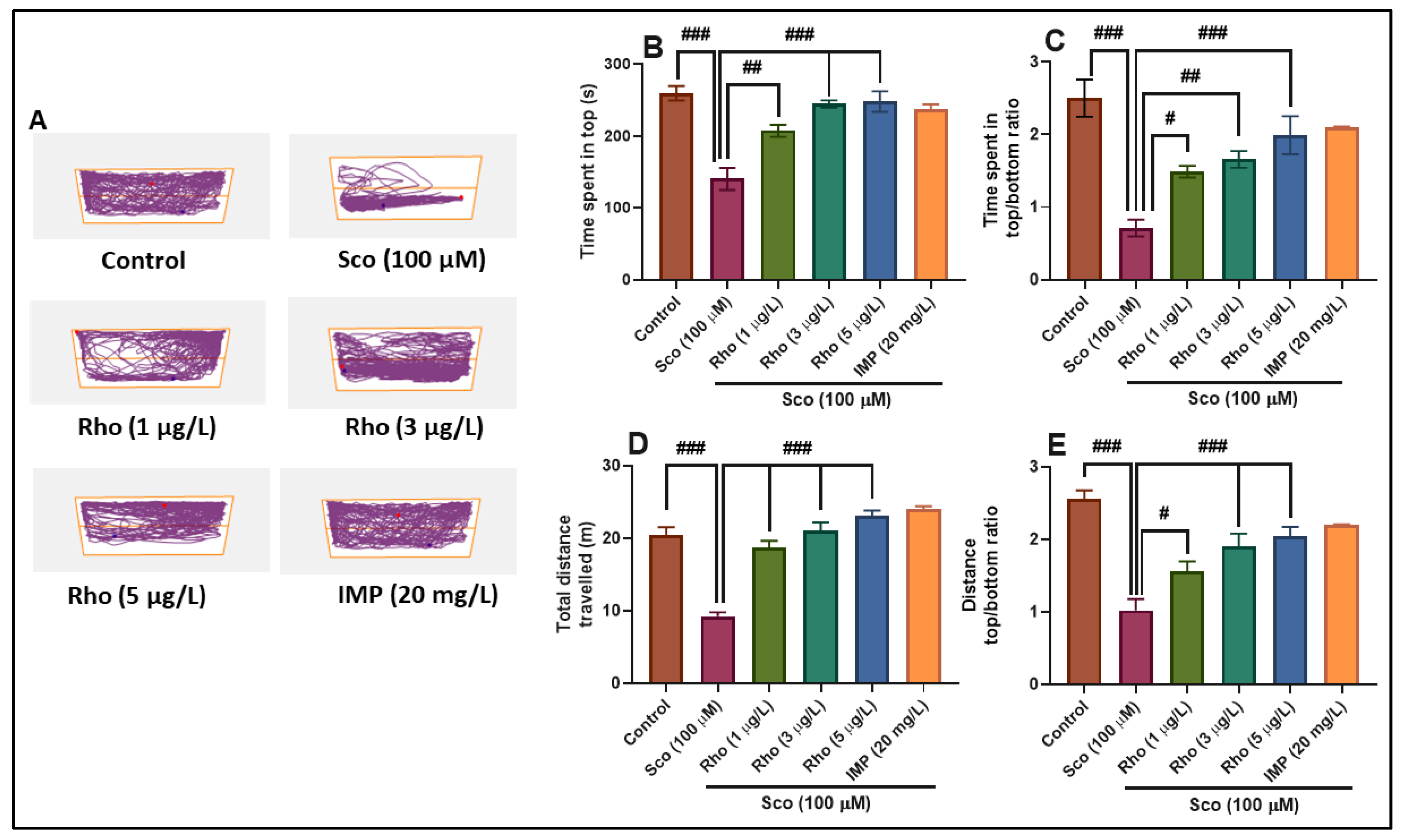 Antioxidants 09 00580 g002