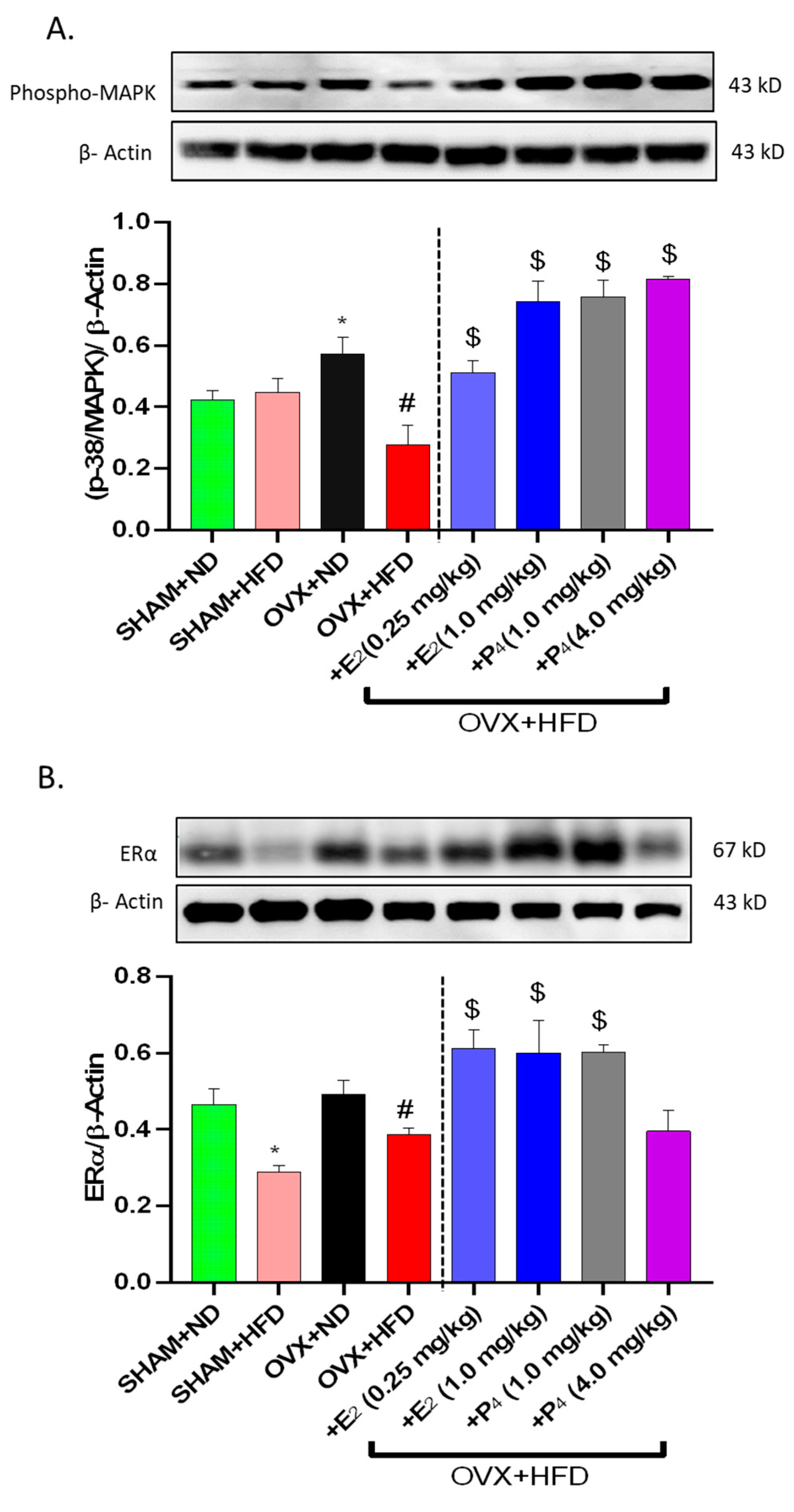 Antioxidants 09 00582 g004a