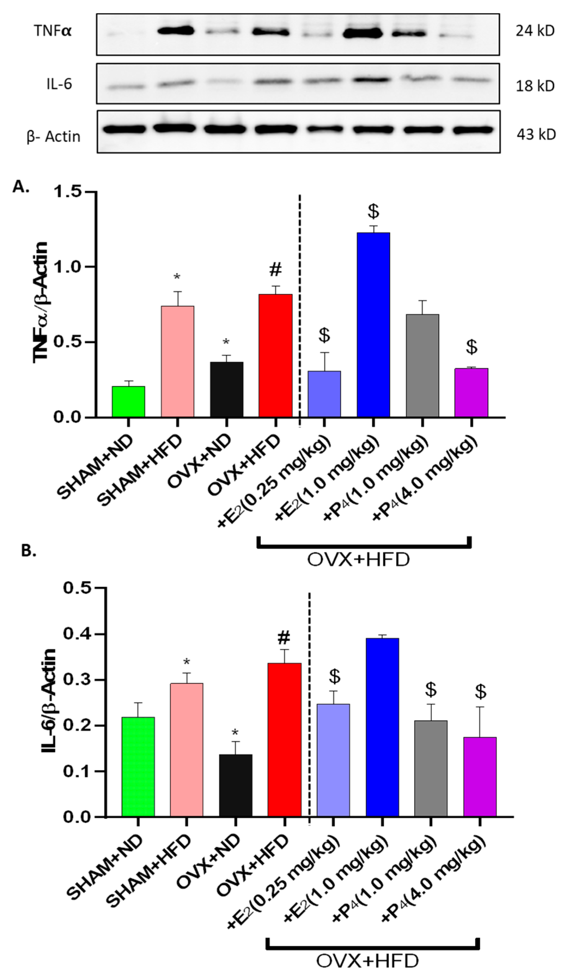 Antioxidants 09 00582 g005