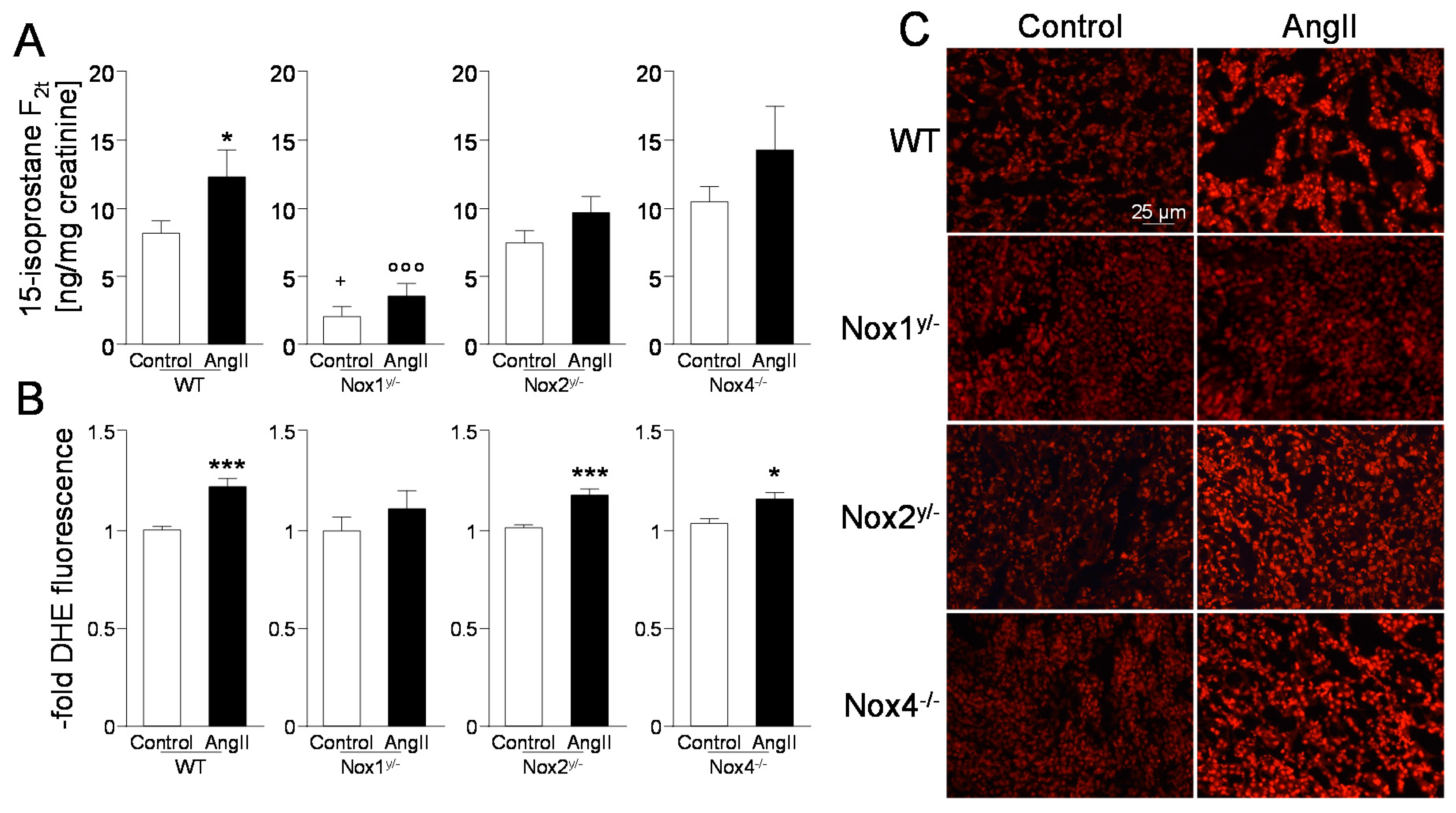 Antioxidants 09 00586 g004