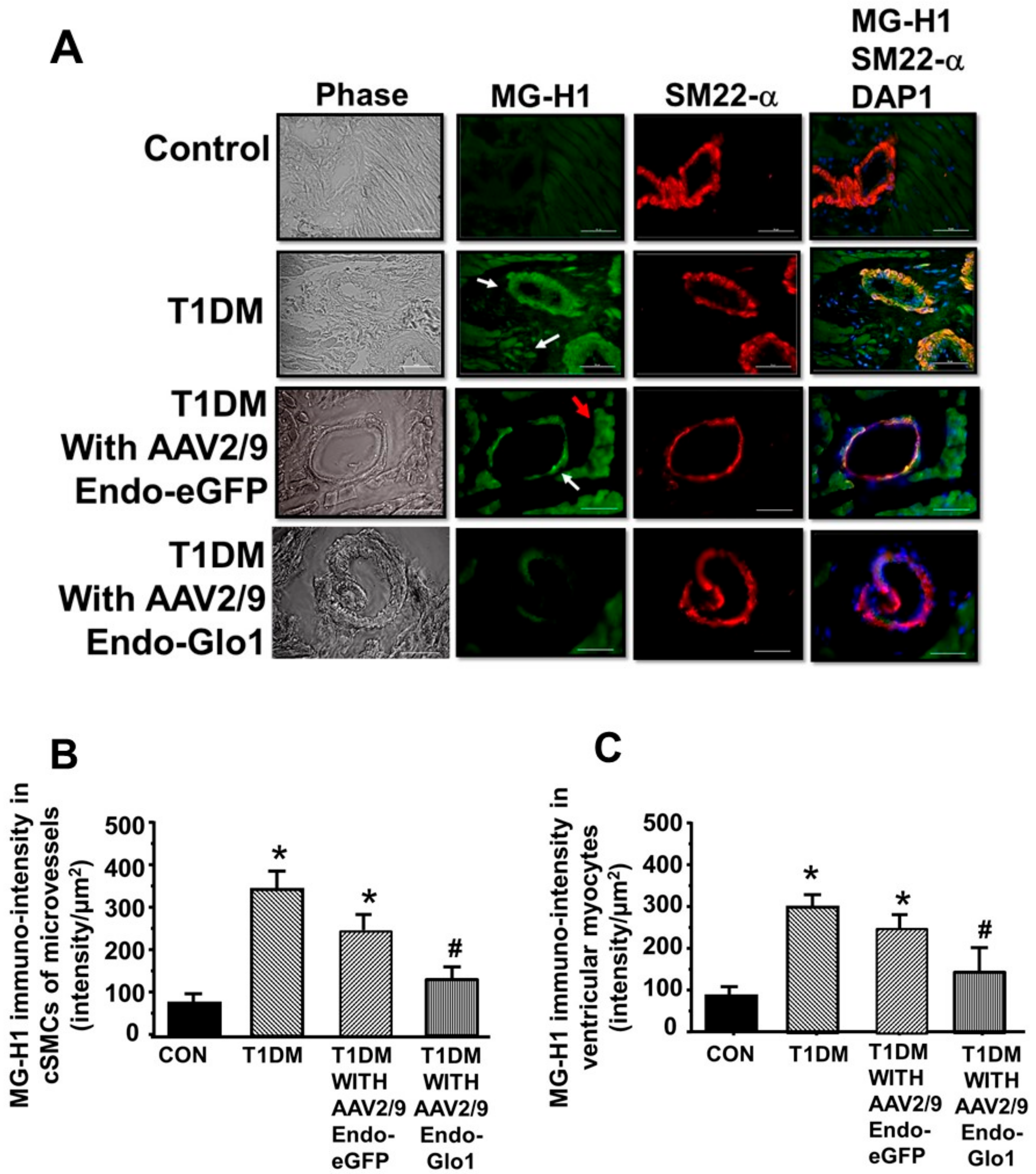 Antioxidants 09 00592 g007a