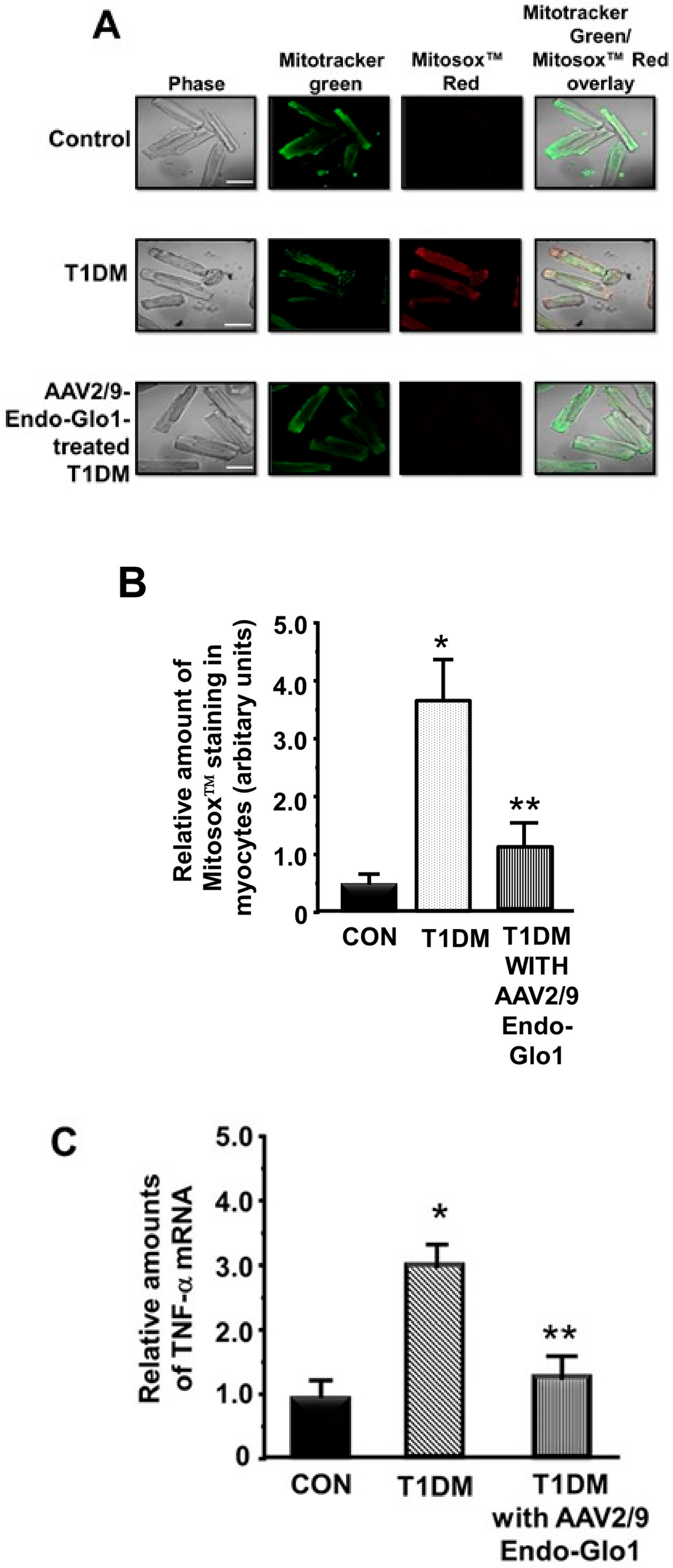 Antioxidants 09 00592 g008a