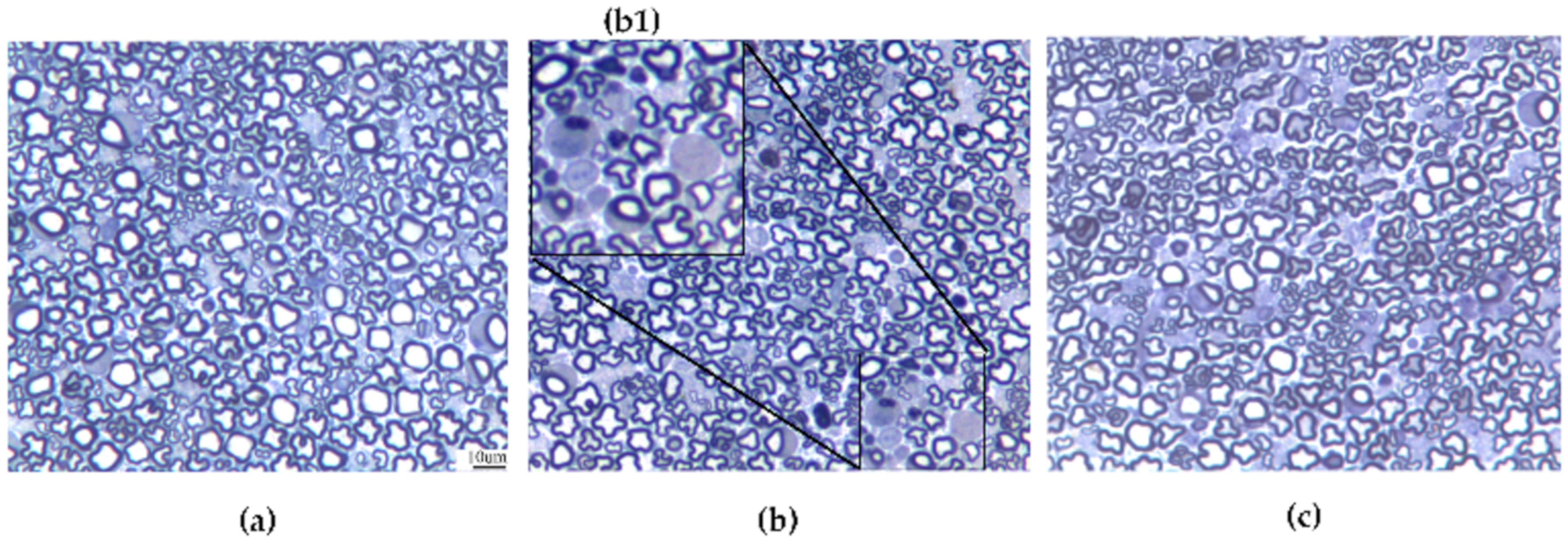 Antioxidants 09 00594 g005