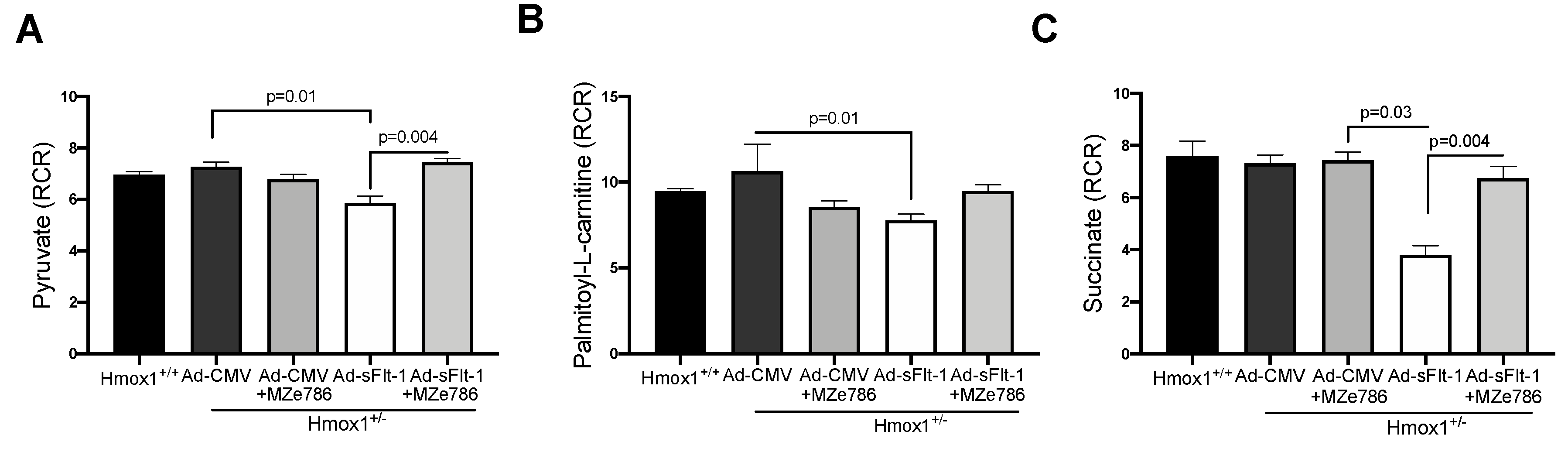 Antioxidants 09 00598 g003