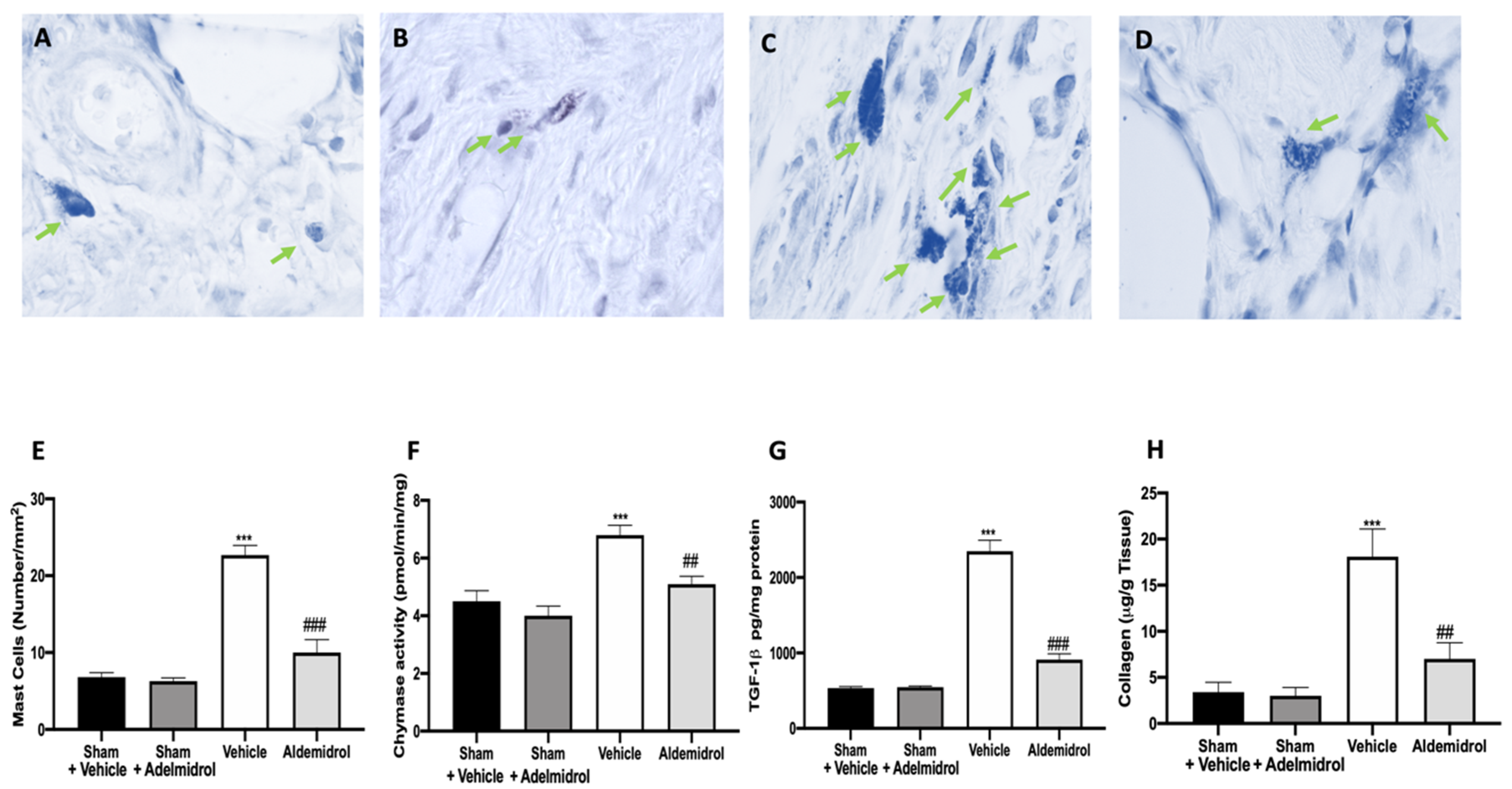 Antioxidants 09 00601 g005