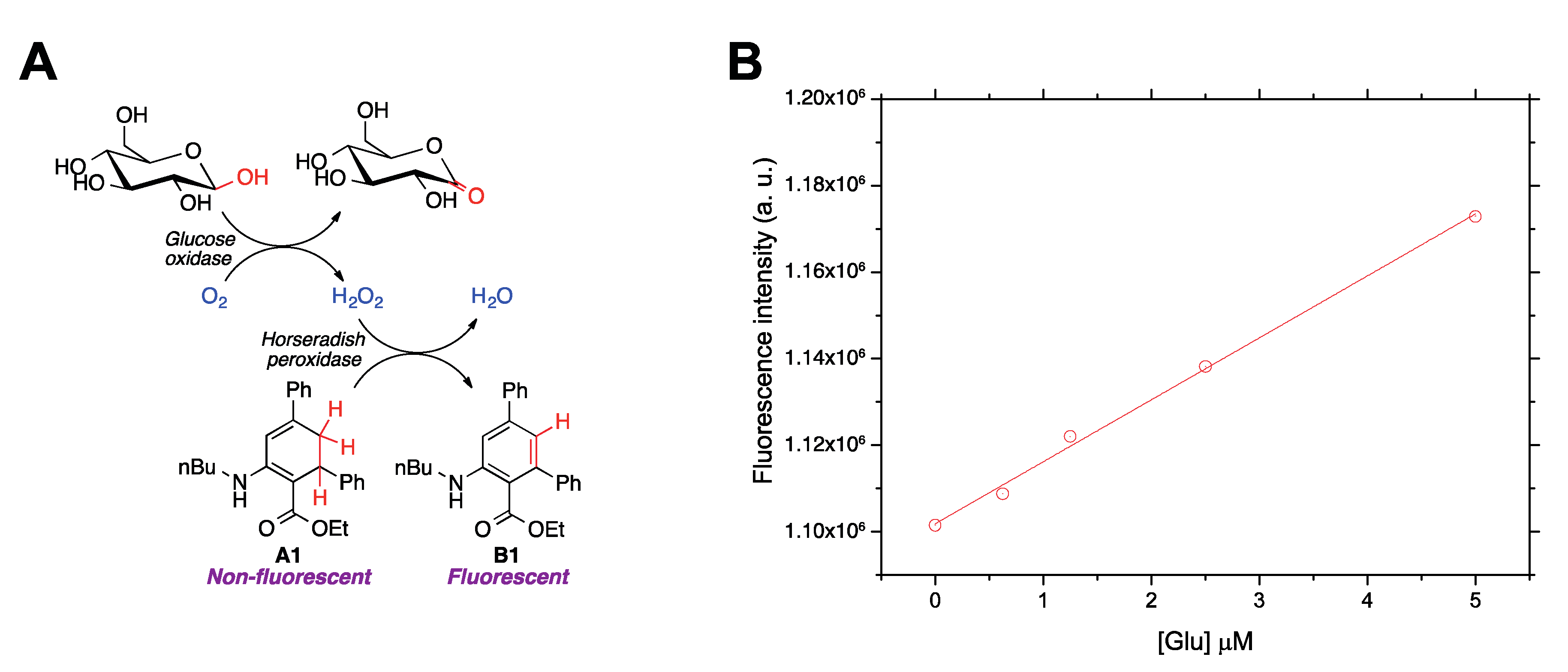 Antioxidants 09 00605 g005