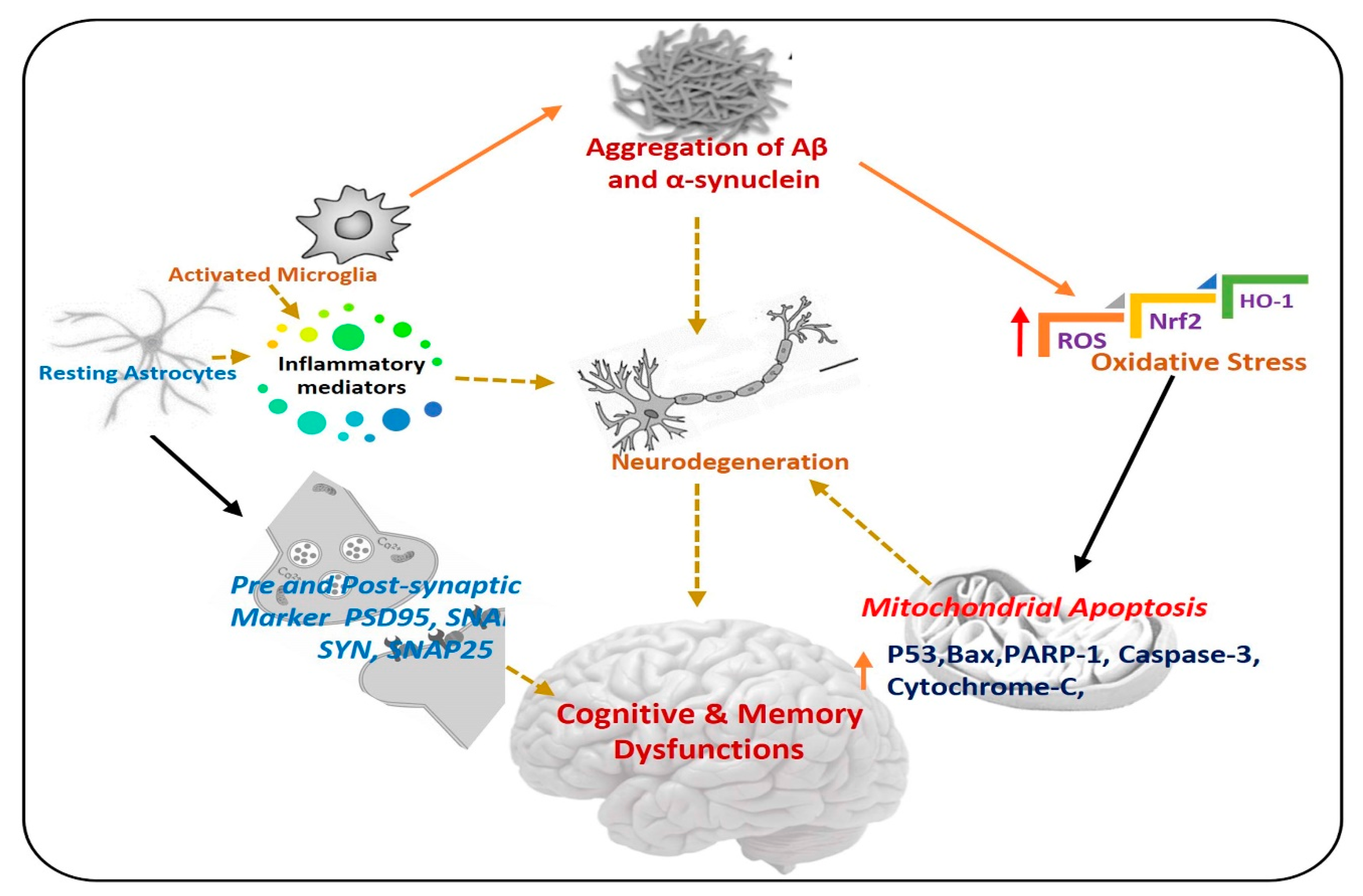 Antioxidants 09 00609 g001