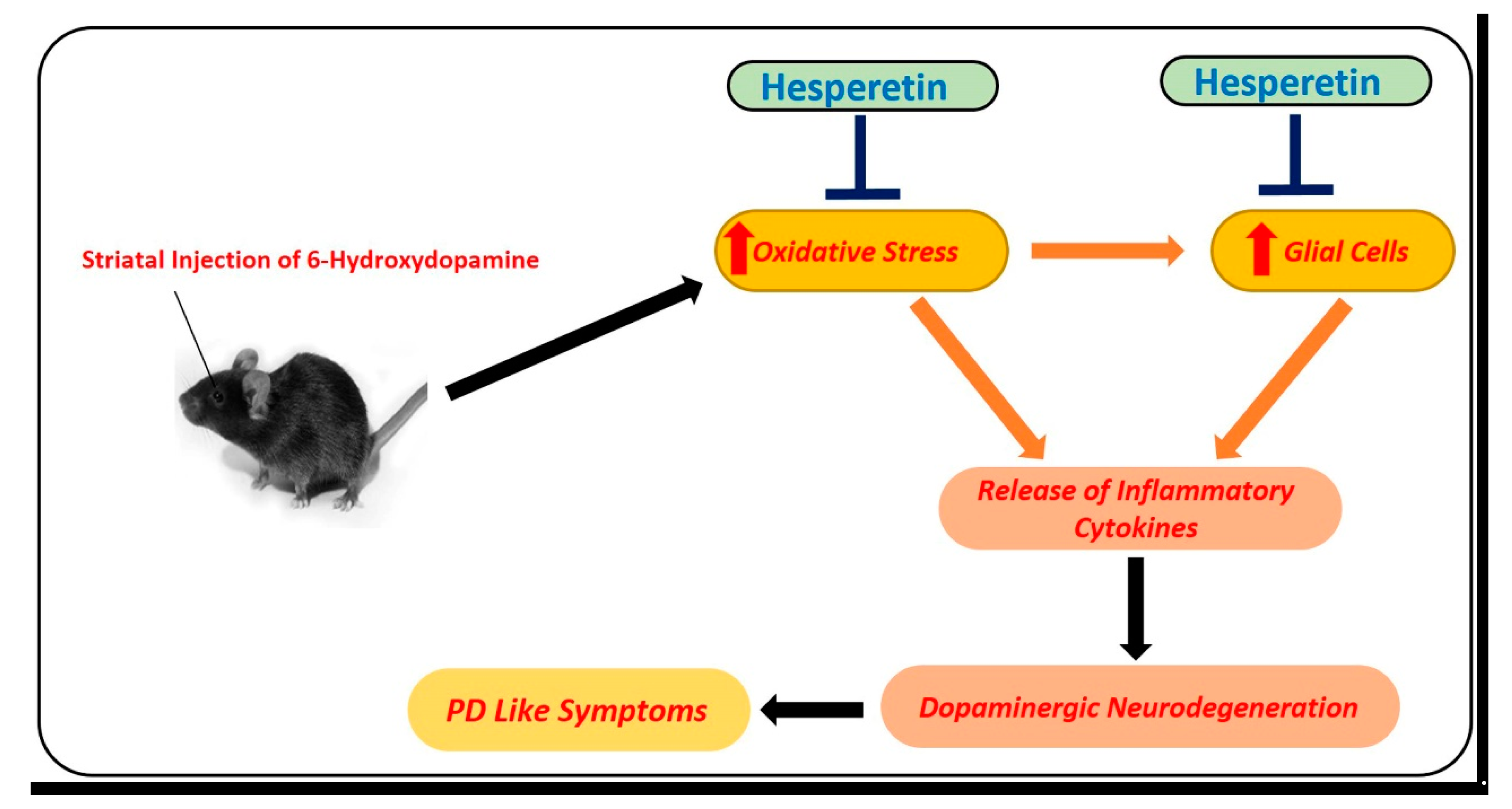 Antioxidants 09 00609 g005