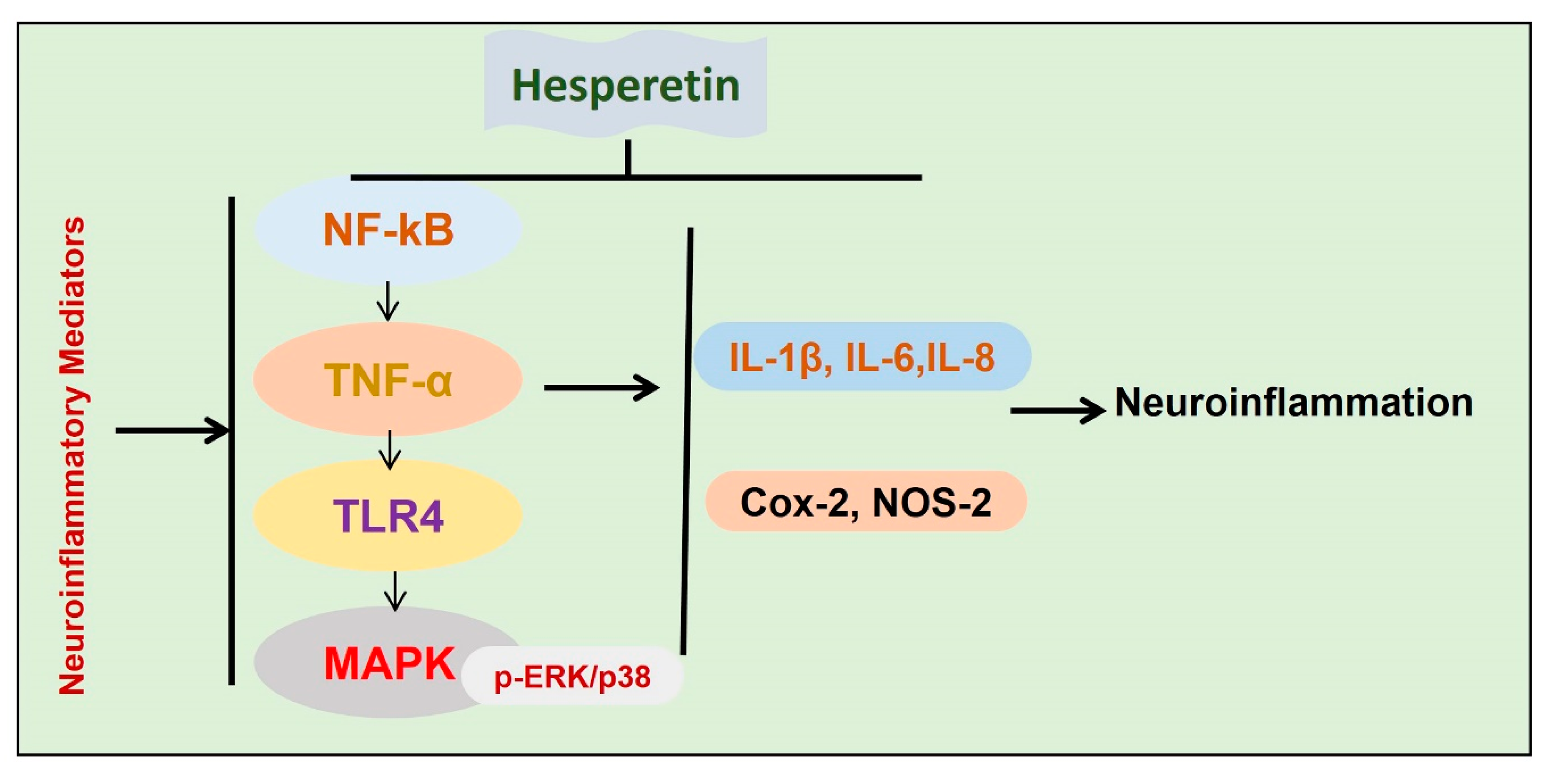 Antioxidants 09 00609 g006
