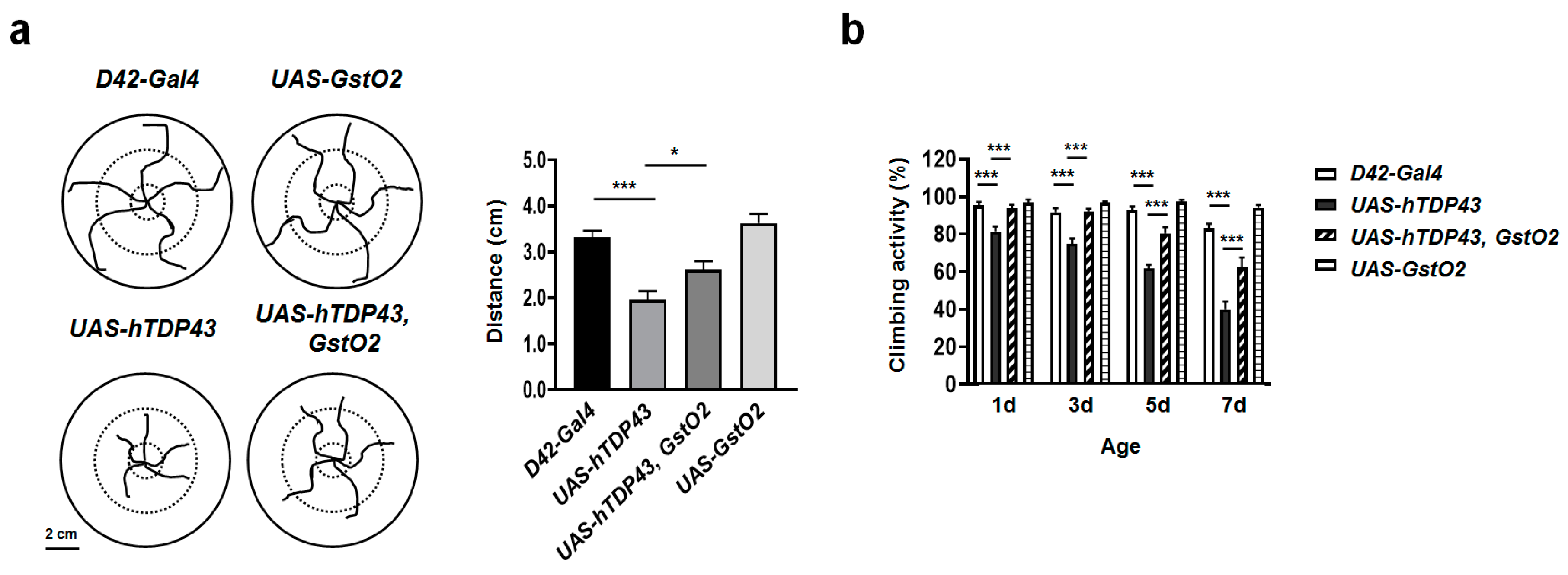 Antioxidants 09 00615 g003