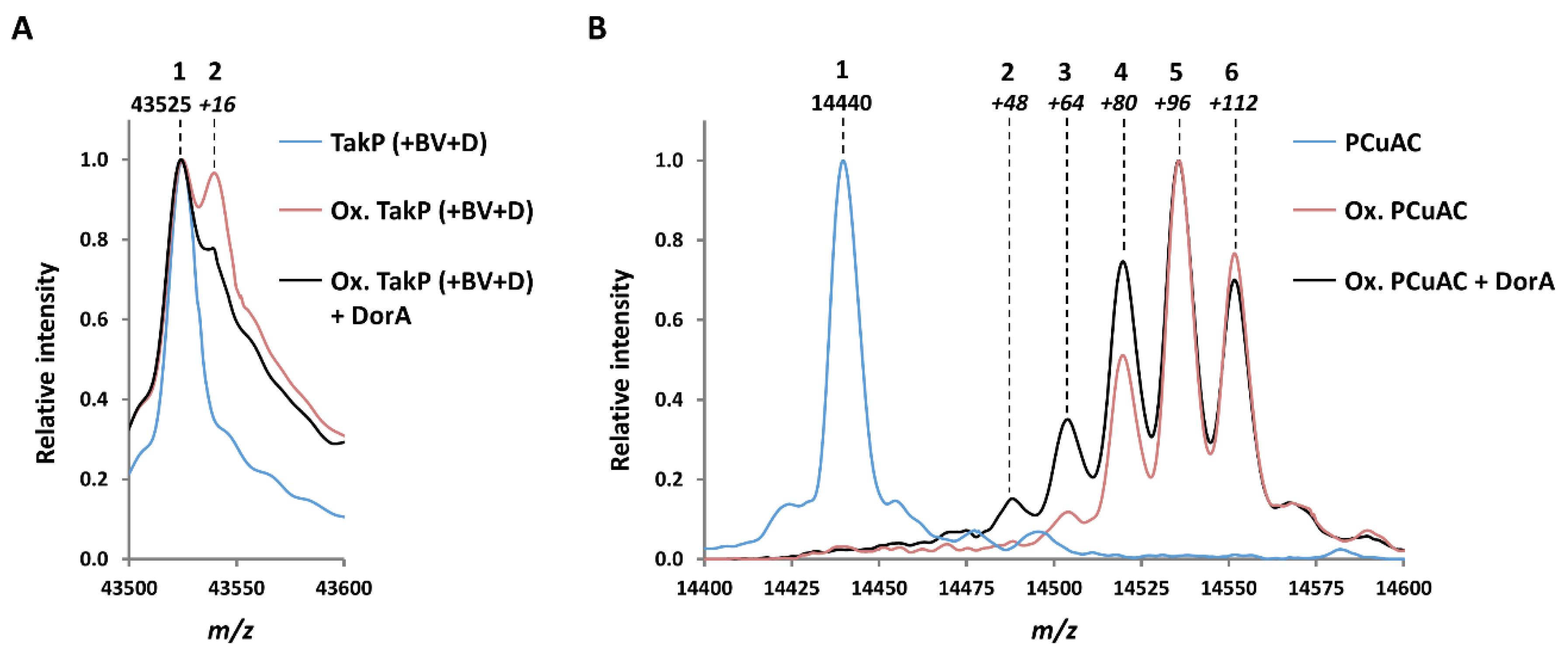 Antioxidants 09 00616 g002