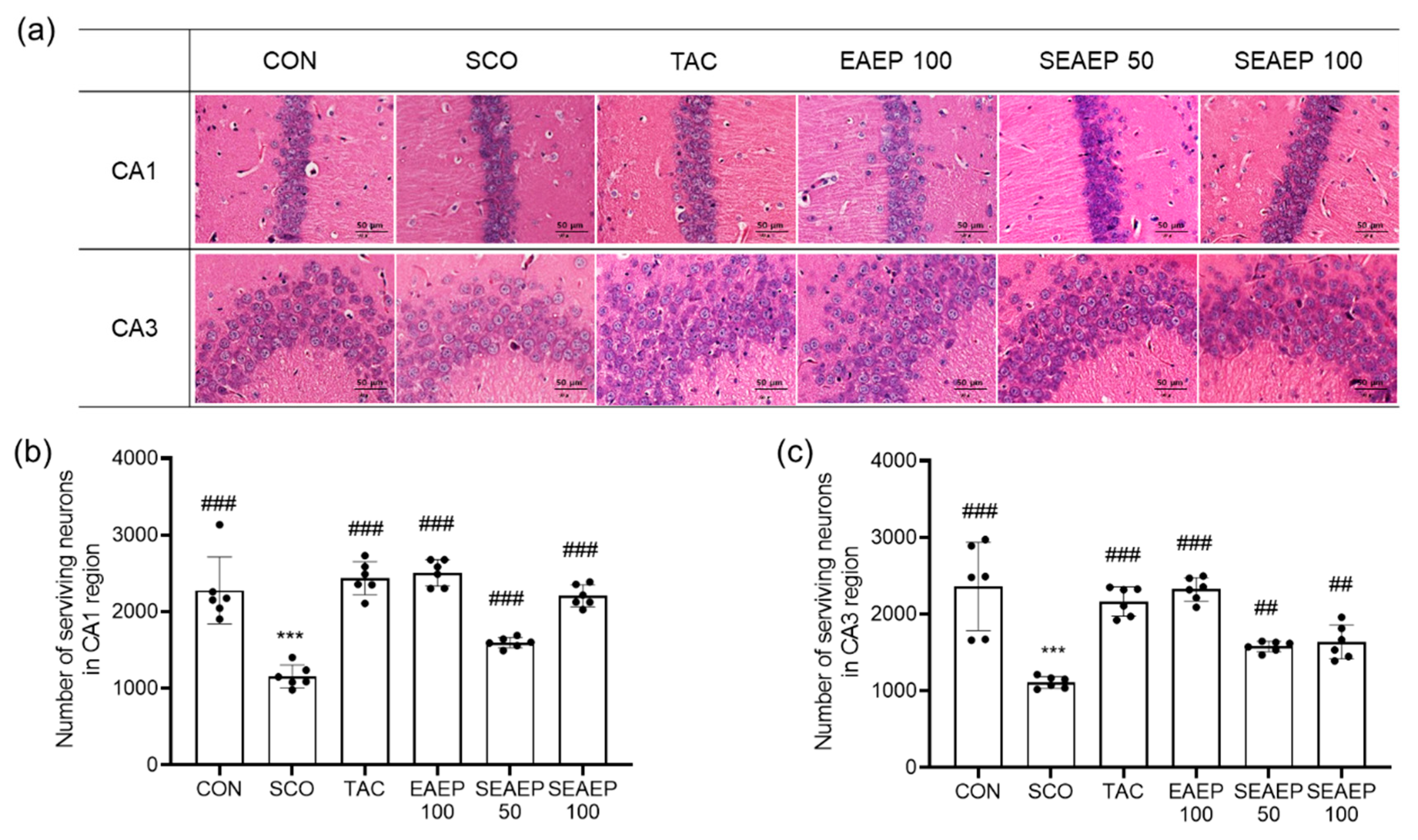 Antioxidants 09 00620 g006