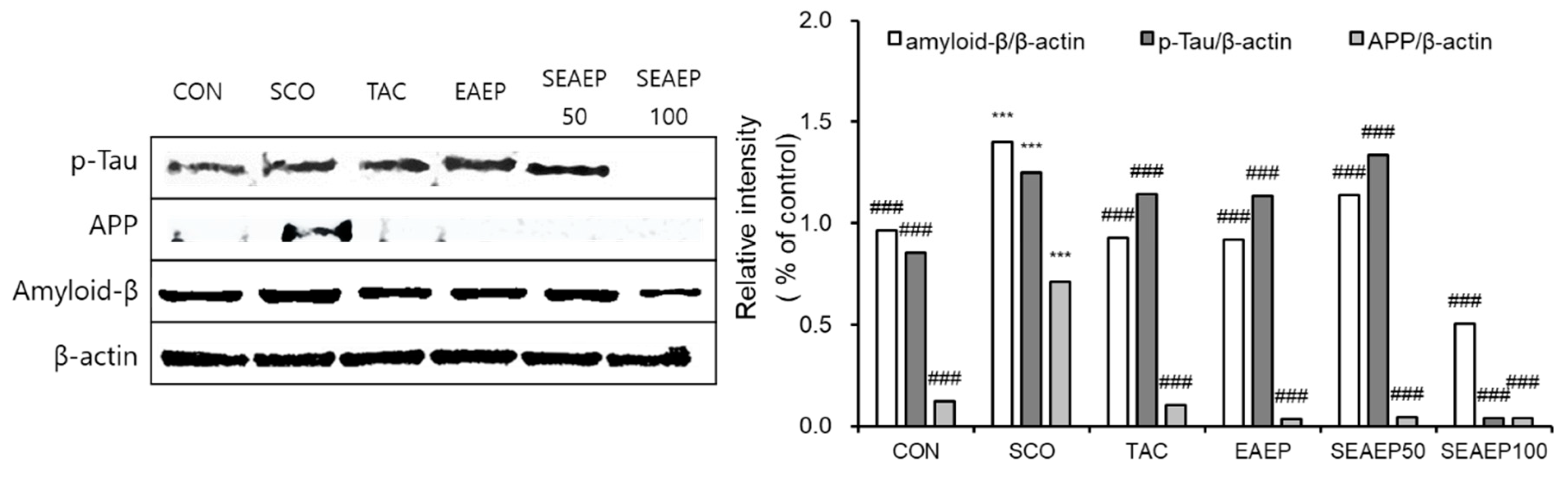 Antioxidants 09 00620 g007