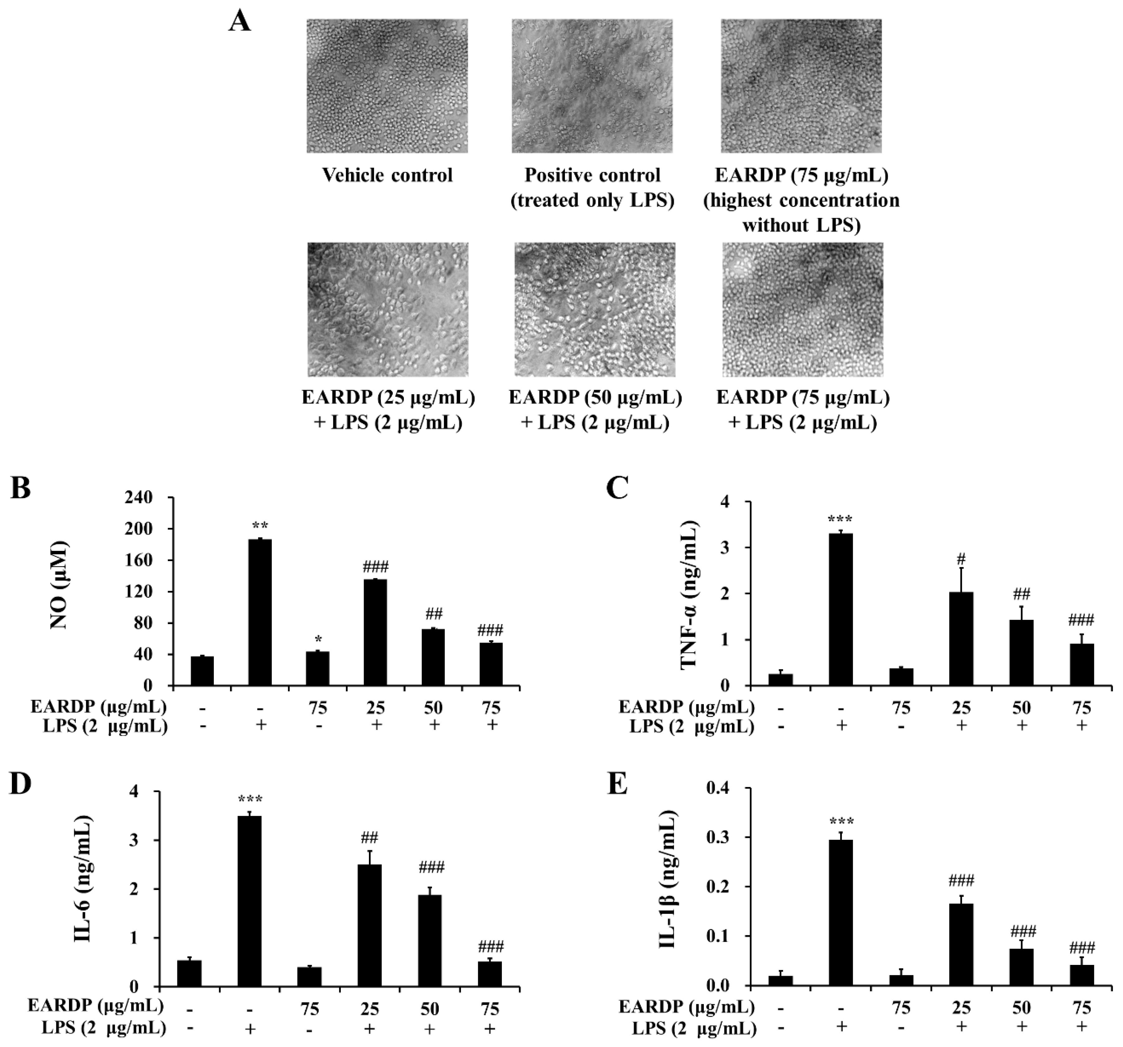 Antioxidants 09 00622 g003