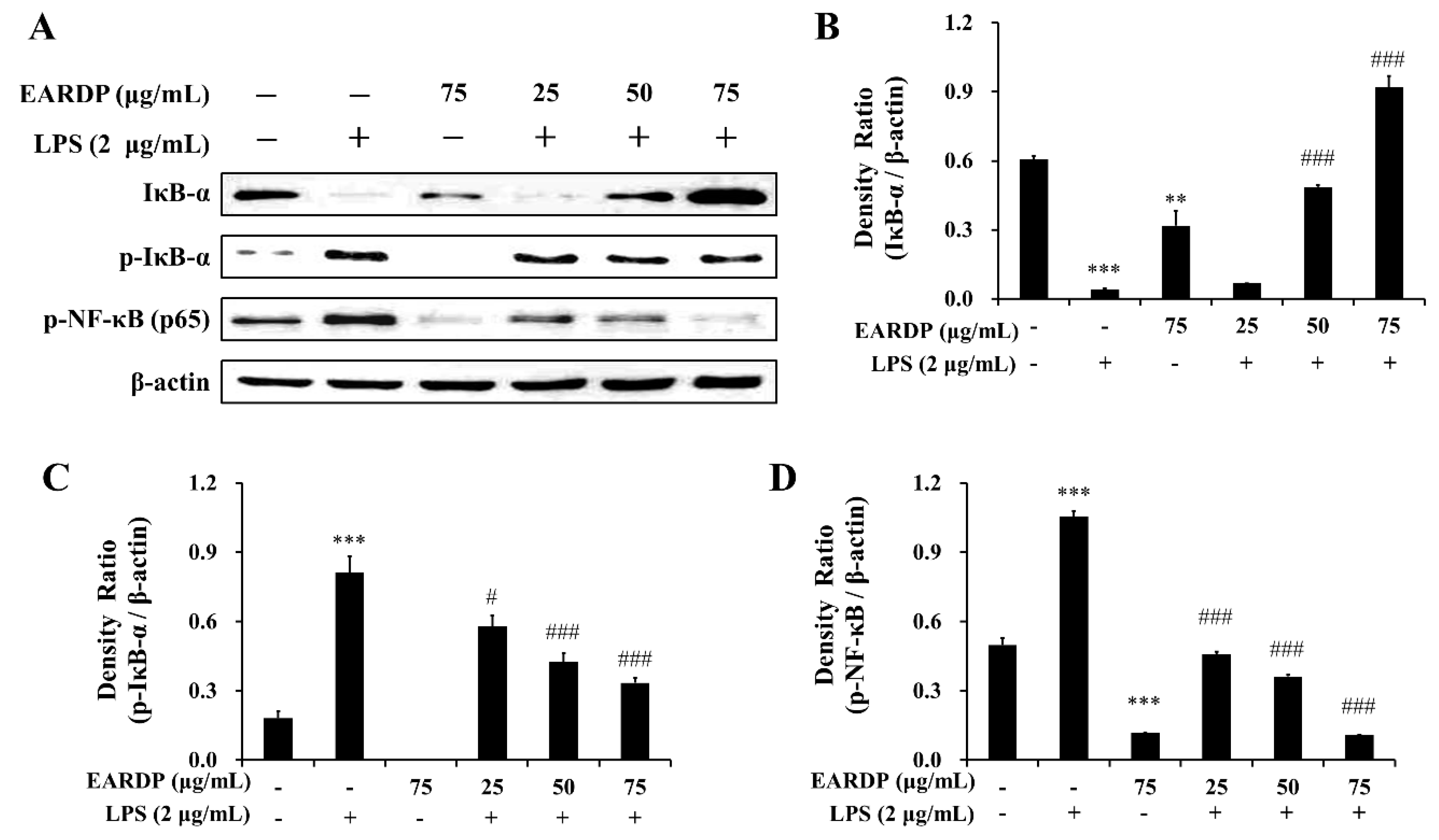 Antioxidants 09 00622 g004