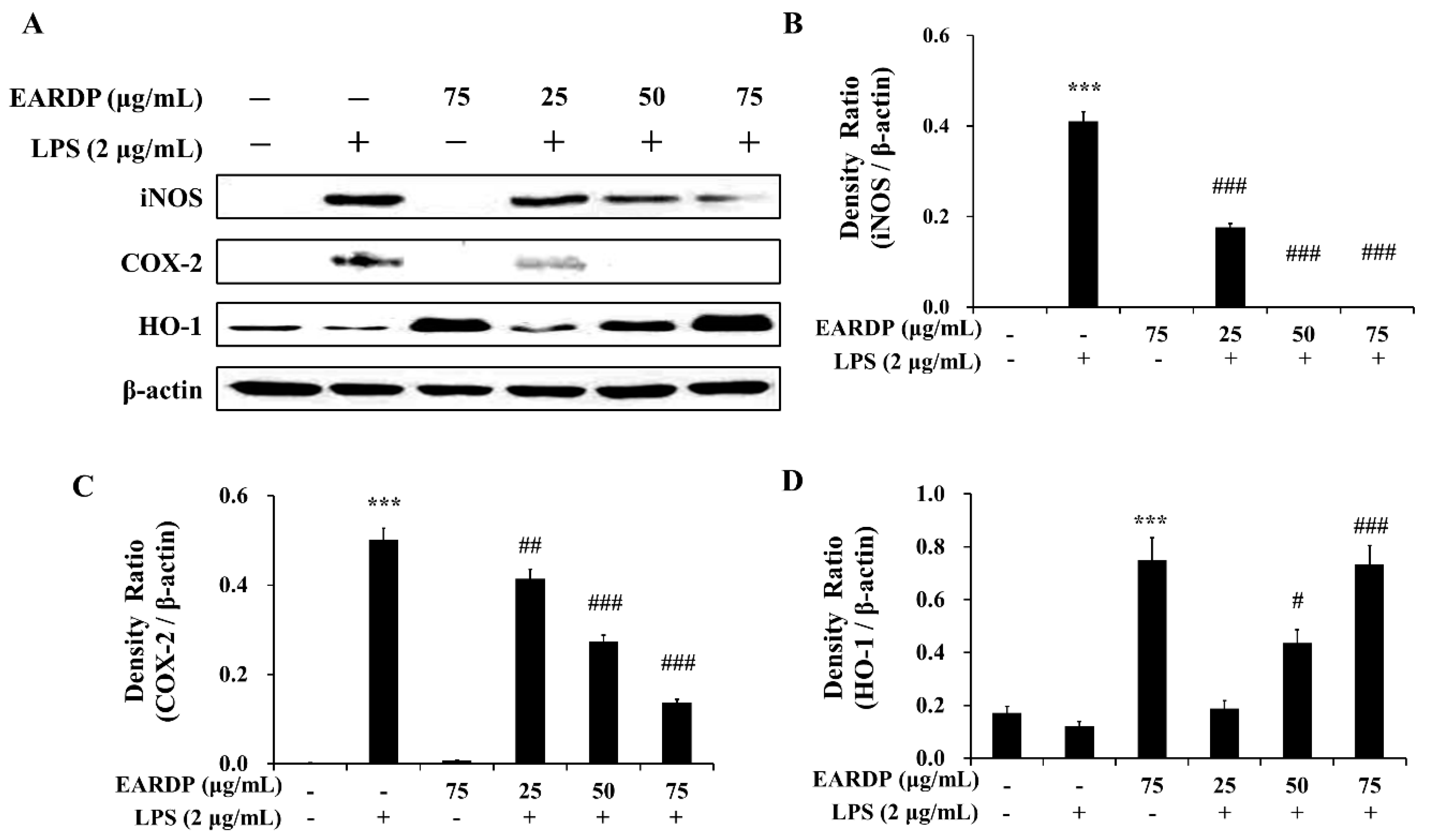 Antioxidants 09 00622 g006