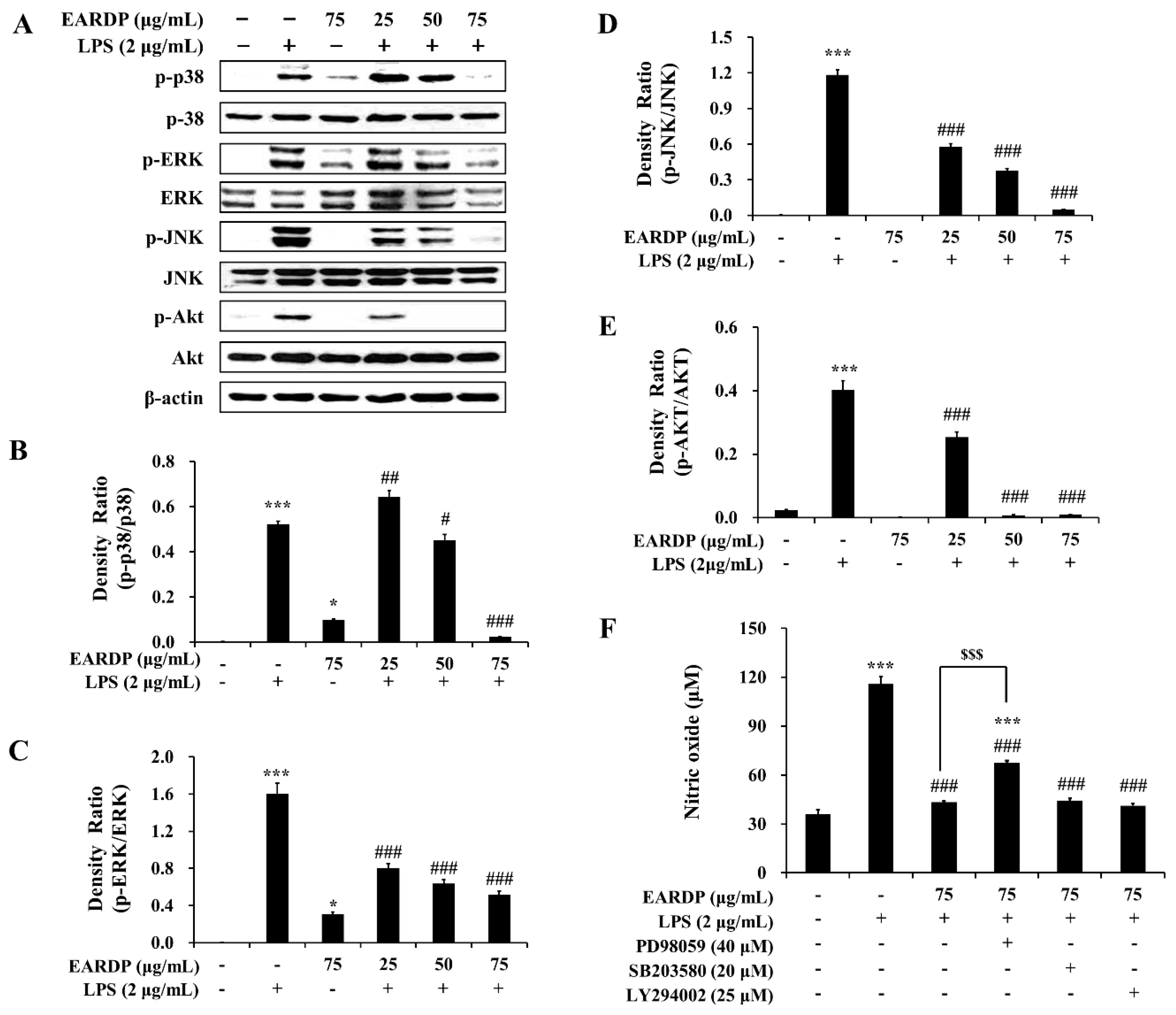 Antioxidants 09 00622 g008