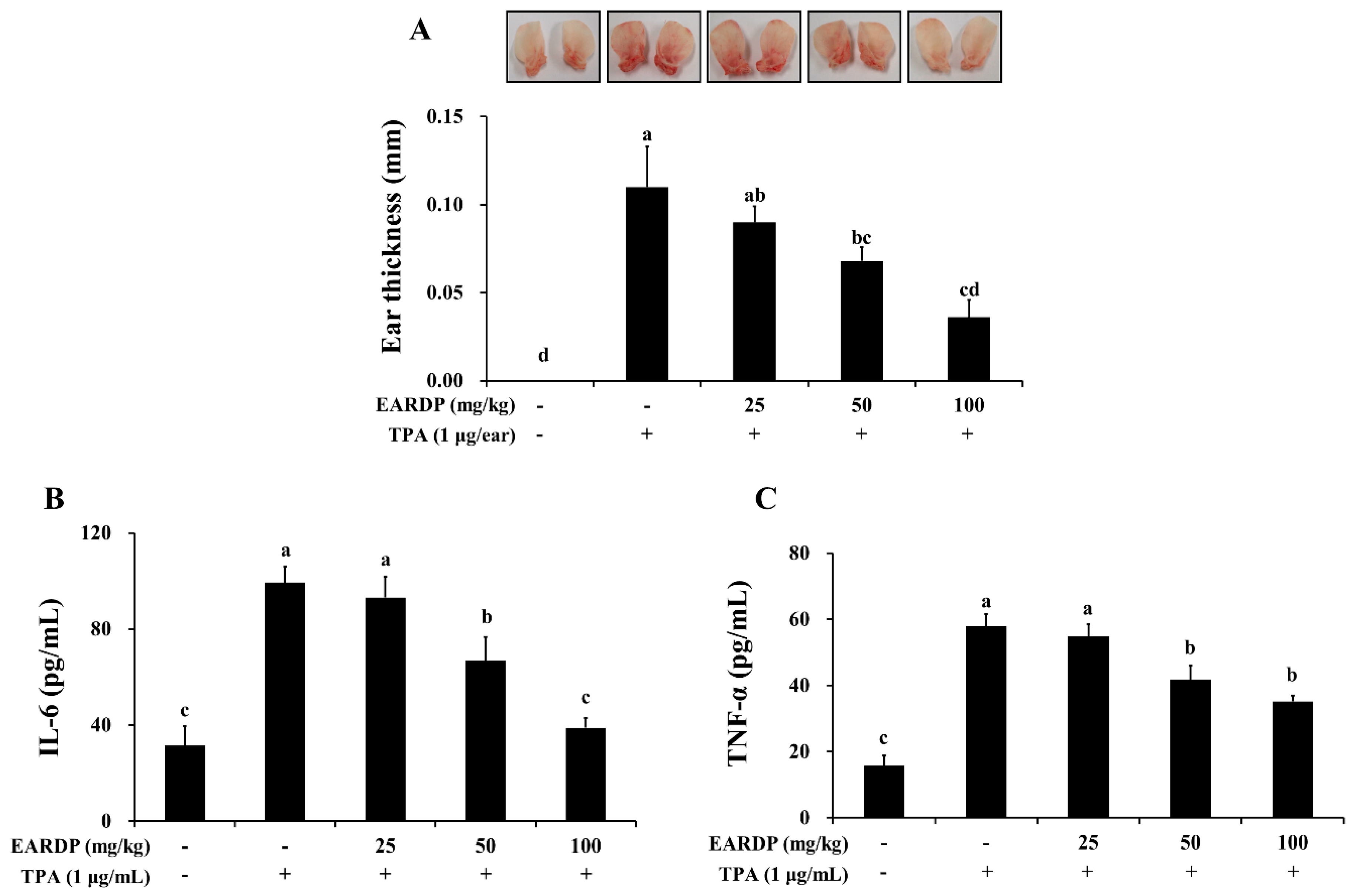 Antioxidants 09 00622 g009